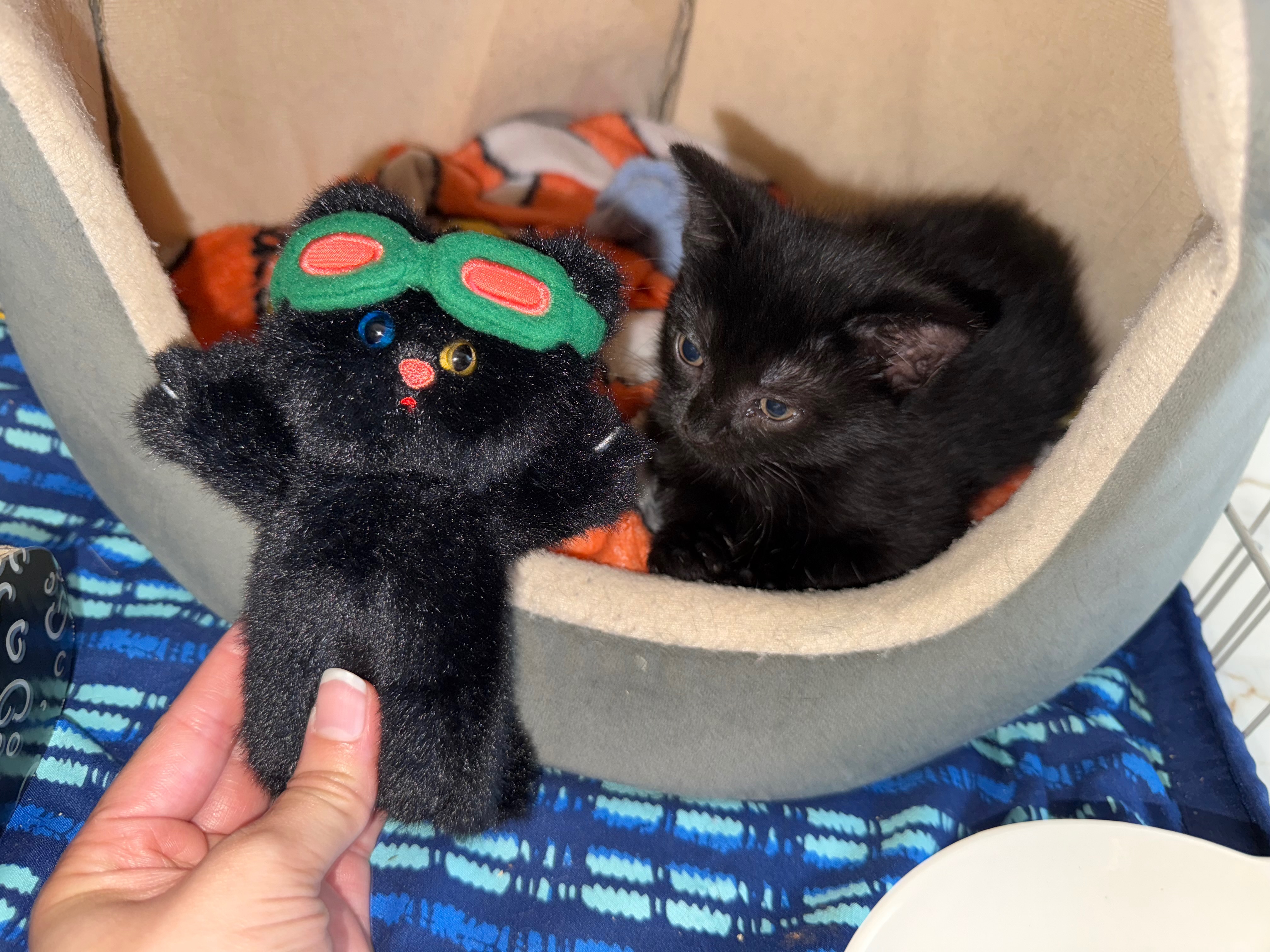 Baby Emmy’s Medical Bills campaign photo, 4 of 6