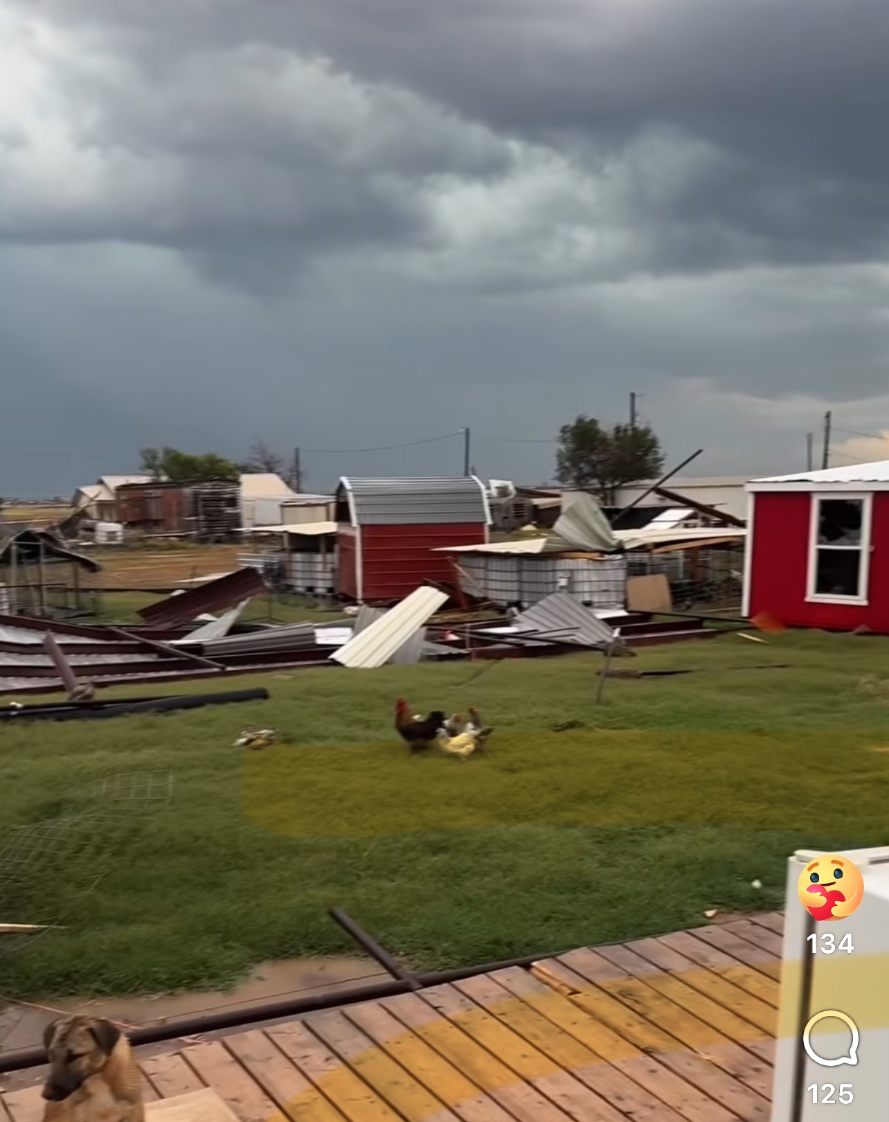Help Lee Wilcox get back up on his feet from a tornado campaign photo, 5 of 6