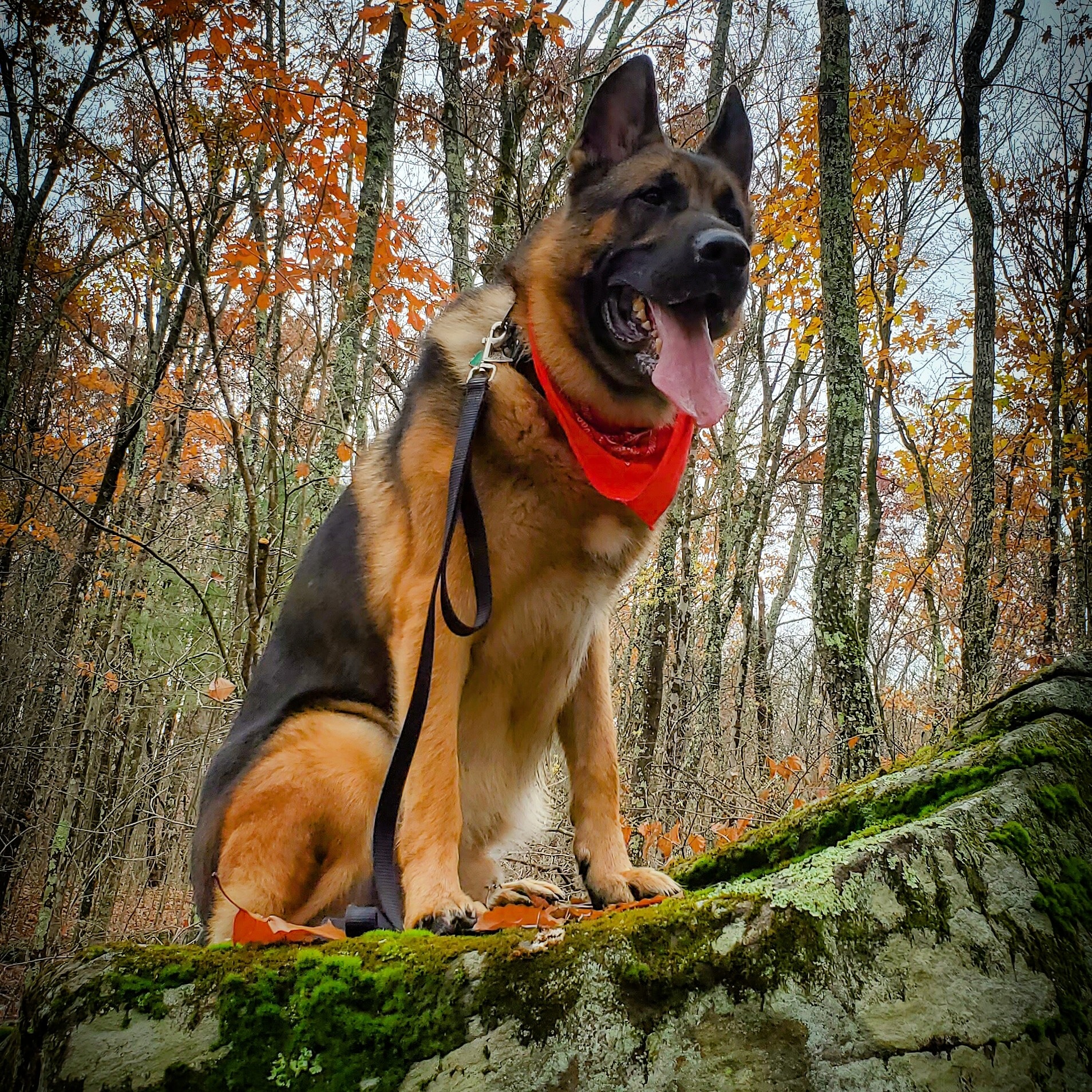 Perun Crossed The Rainbow Bridge campaign photo, 5 of 6