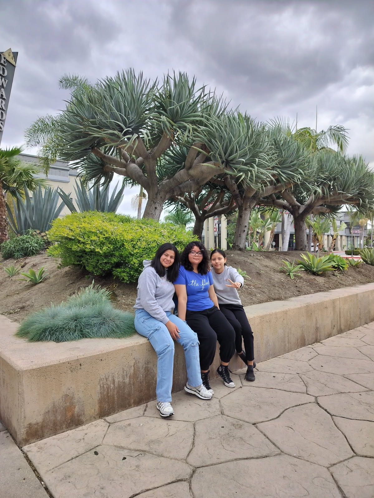 User-uploaded image 1