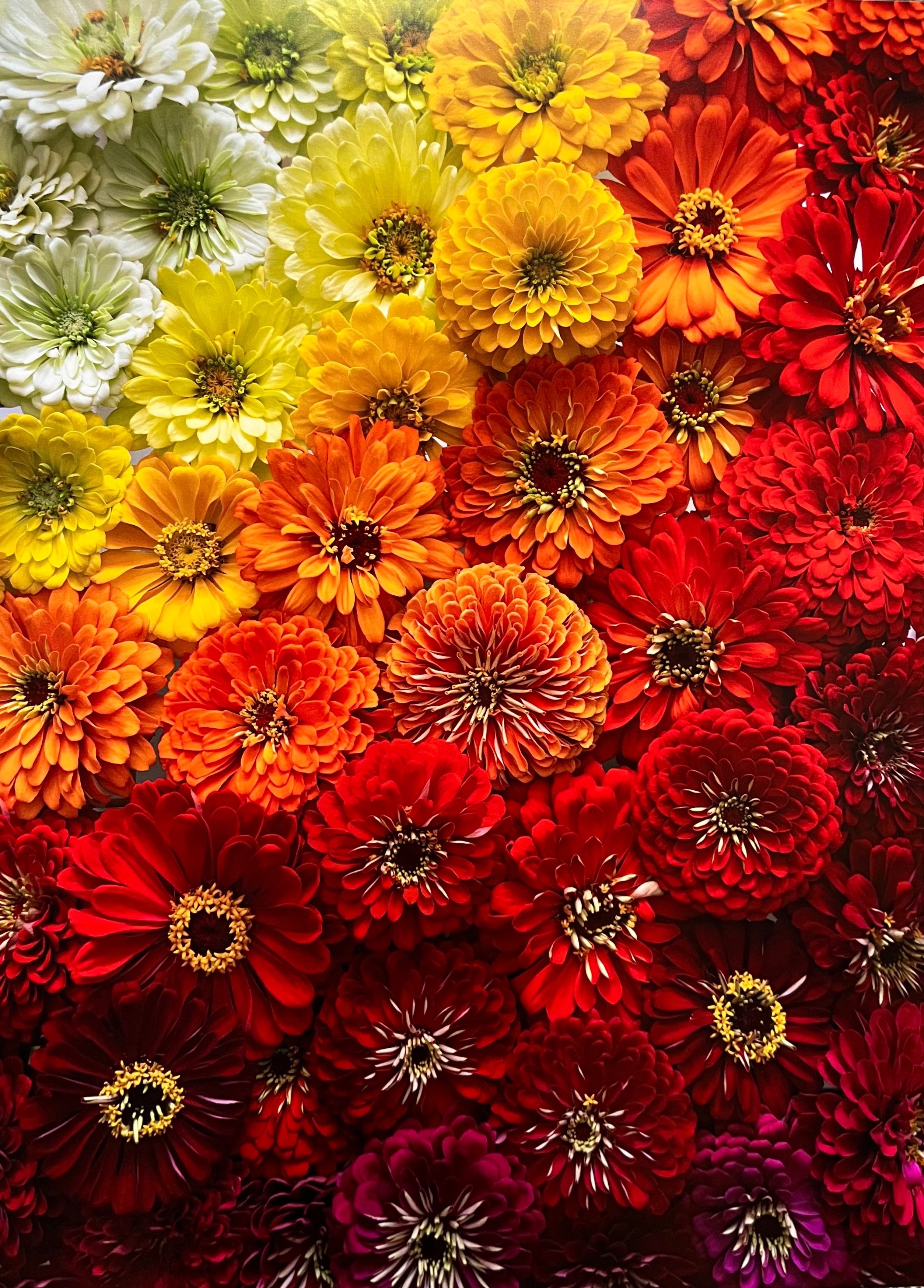 User-uploaded image 1