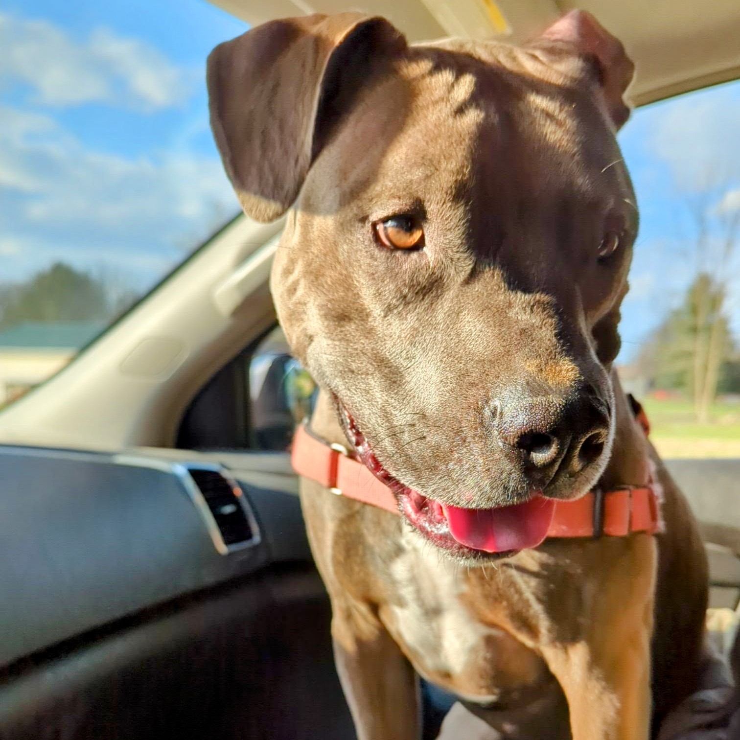 Tego Needs Us: Financial Help Please campaign photo, 2 of 8
