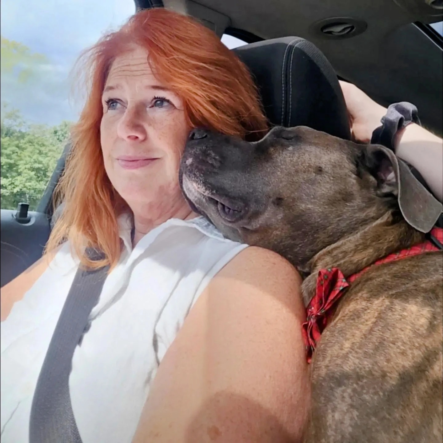 Tego Needs Us: Financial Help Please campaign photo, 4 of 8