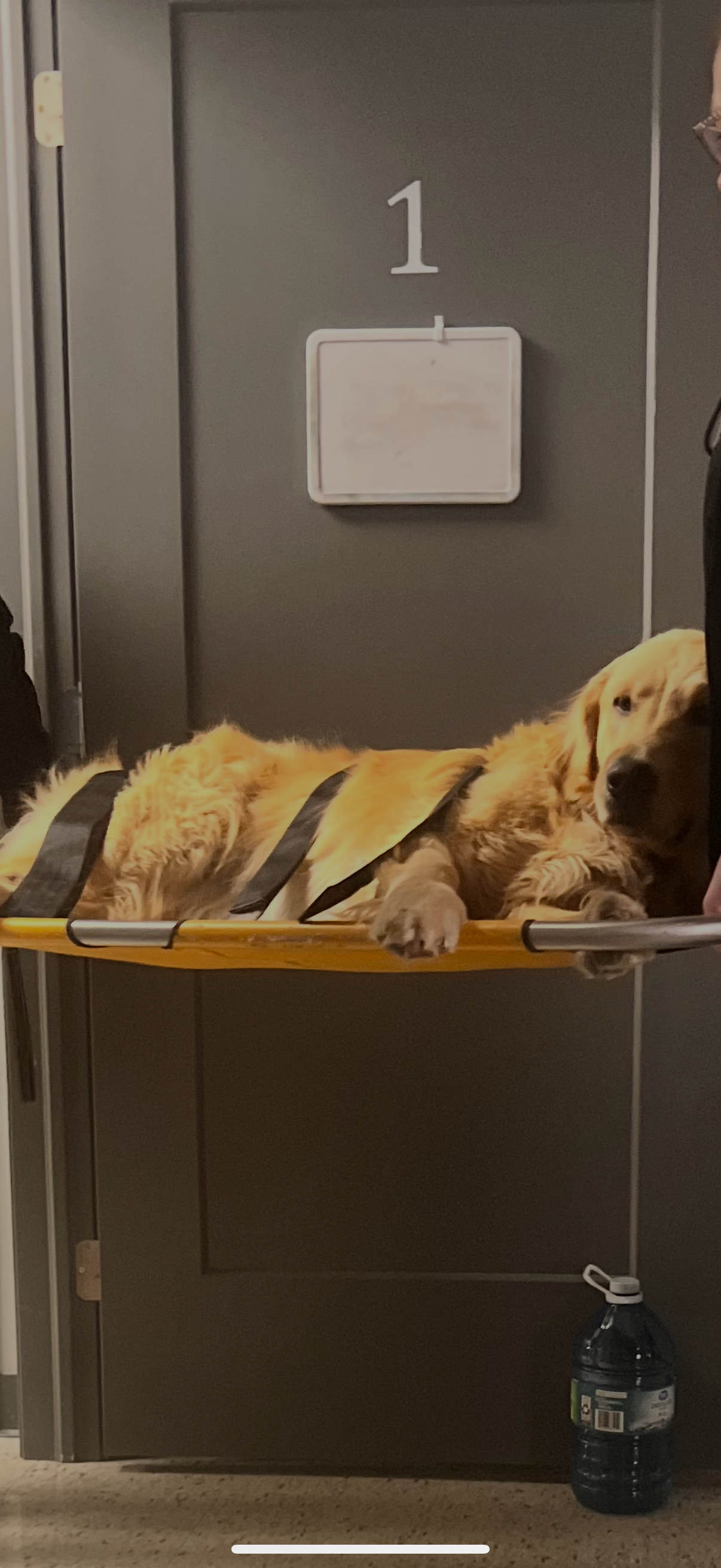 Tuckers Surgery campaign photo, 6 of 7
