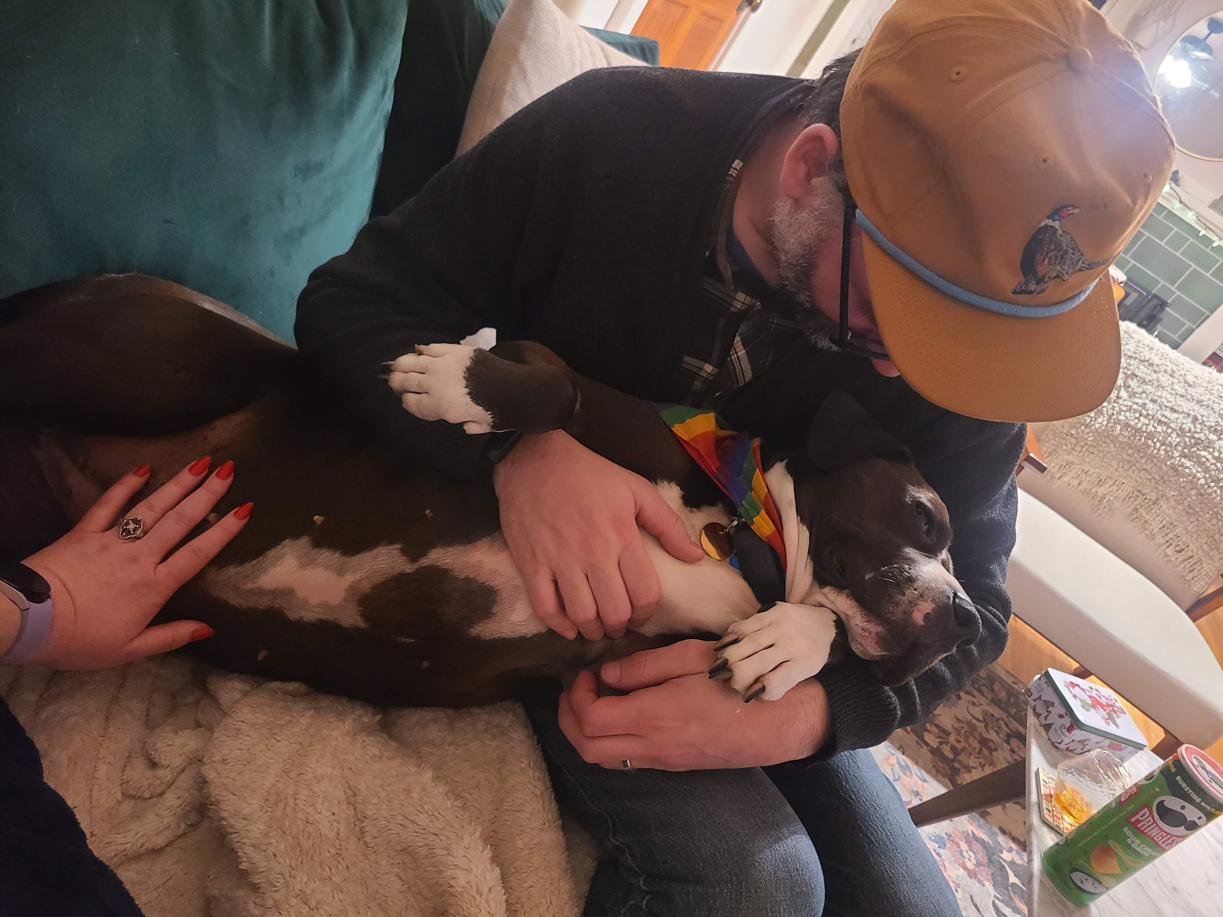 Help Us Afford Roxie's Lifesaving Cancer Treatment! campaign photo, 5 of 8