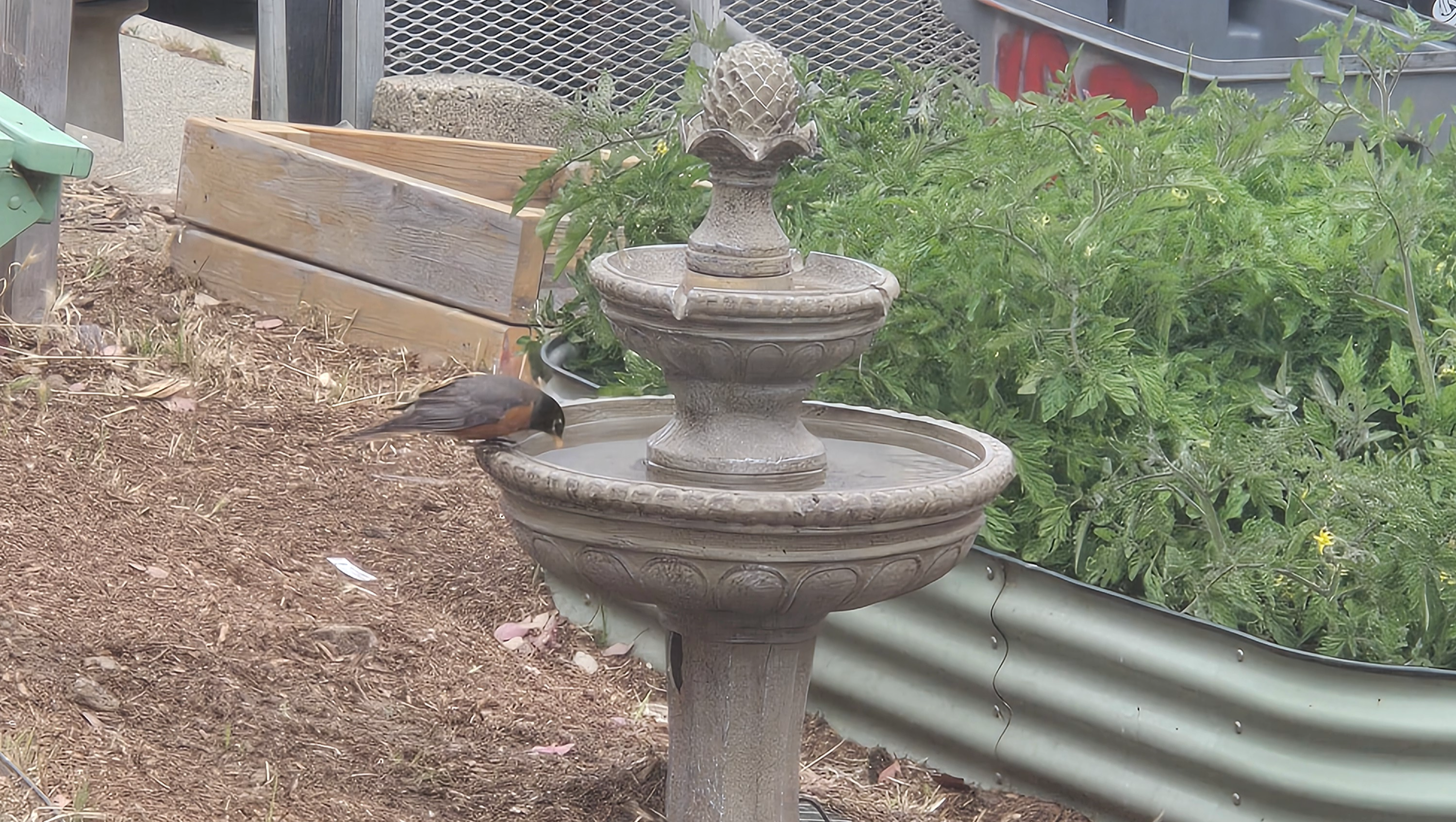 Empower Youth and Community with C.A.R.E. photo