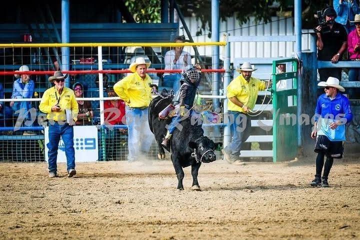 User-uploaded image 1