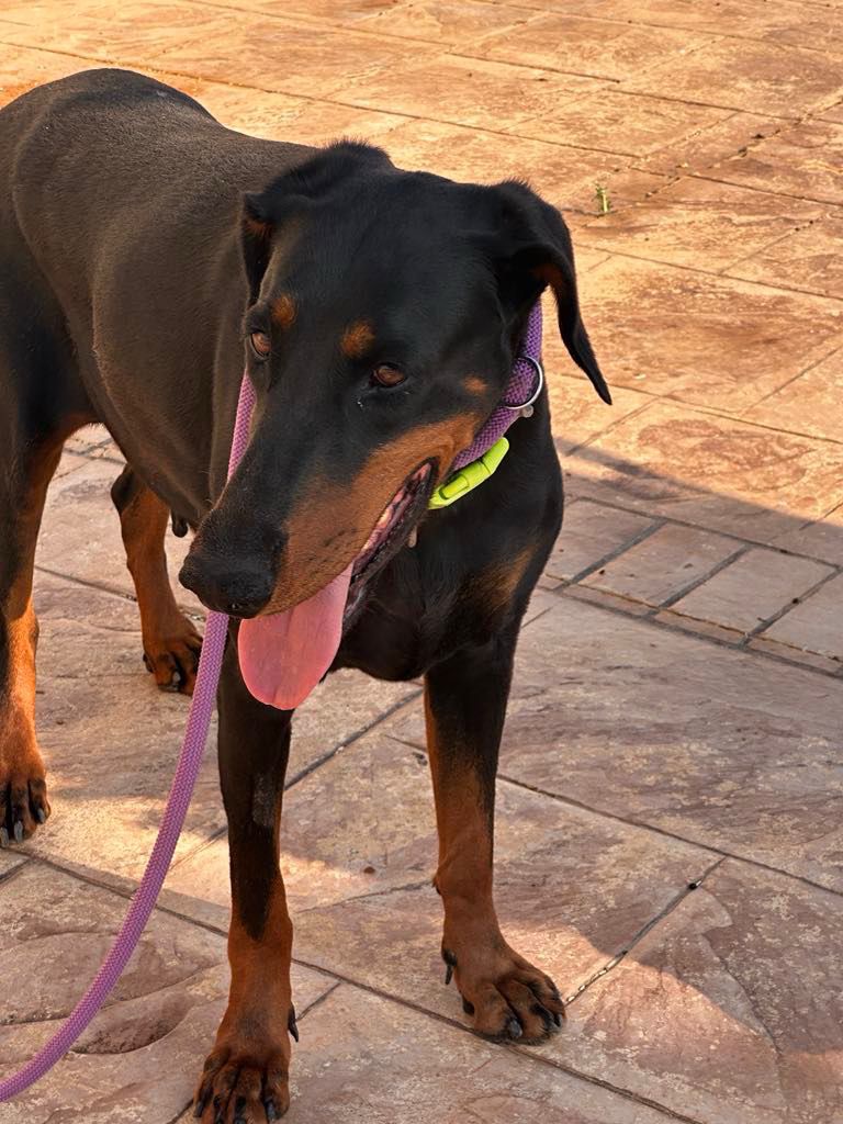 User-uploaded image 1