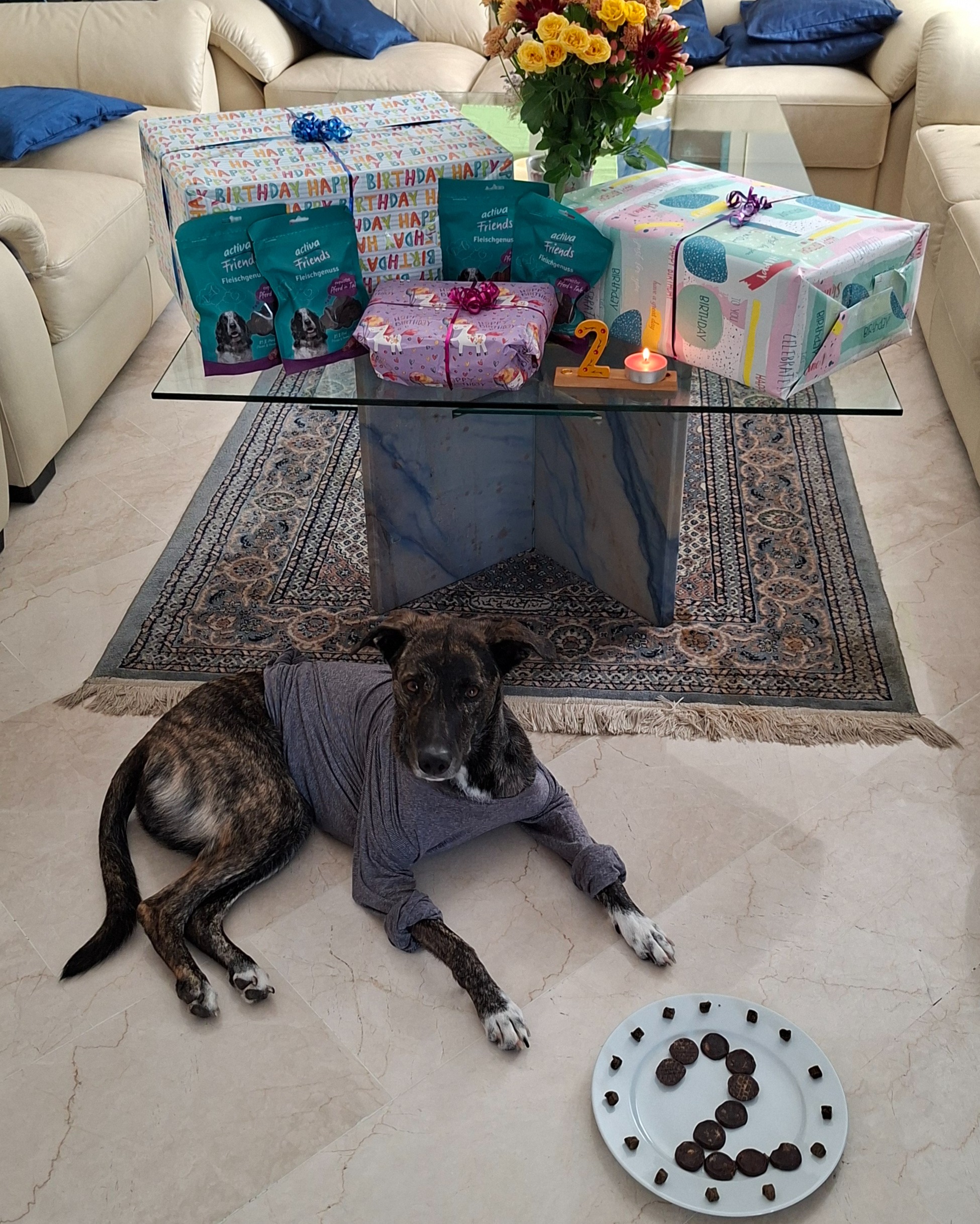 Download PDF - Bund gegen Missbrauch der Tiere, image size:1950x2437