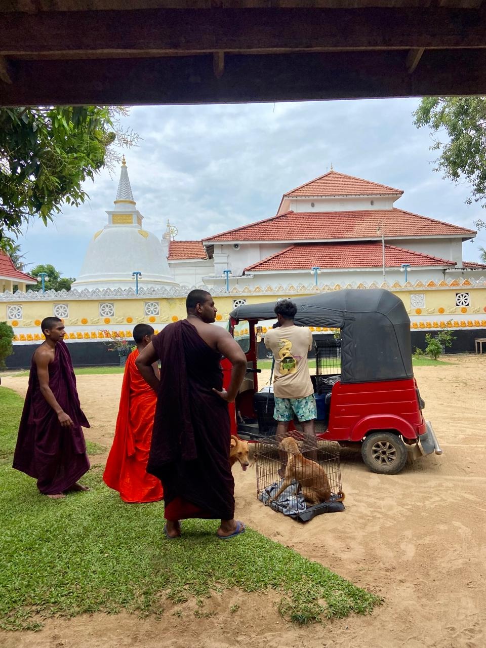 Together for Animals - The Podi Pack Mission campaign photo, 2 of 8