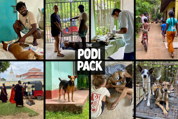 Together for Animals - The Podi Pack Mission campaign photo, 5 of 8