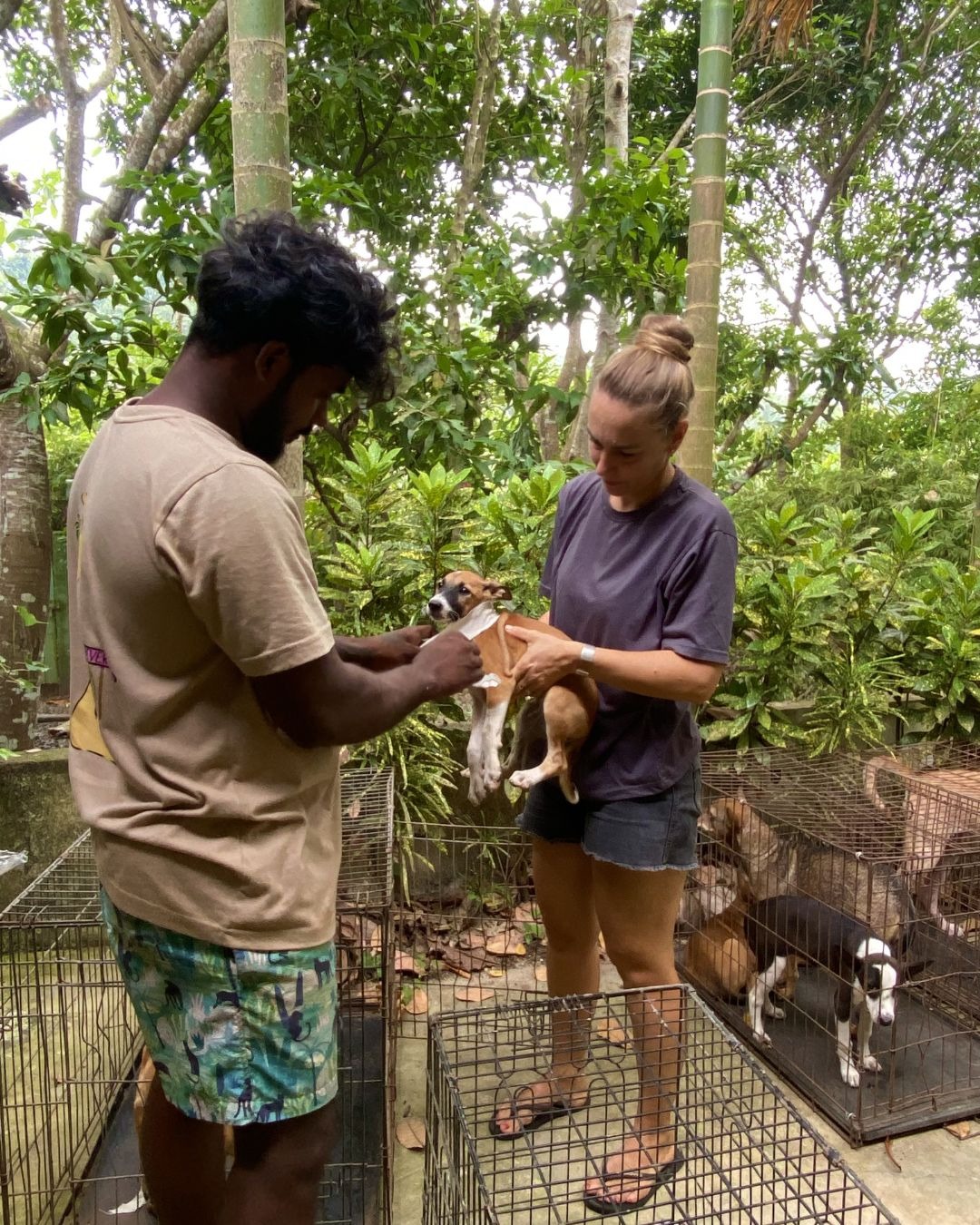 Together for Animals - The Podi Pack Mission campaign photo, 6 of 8