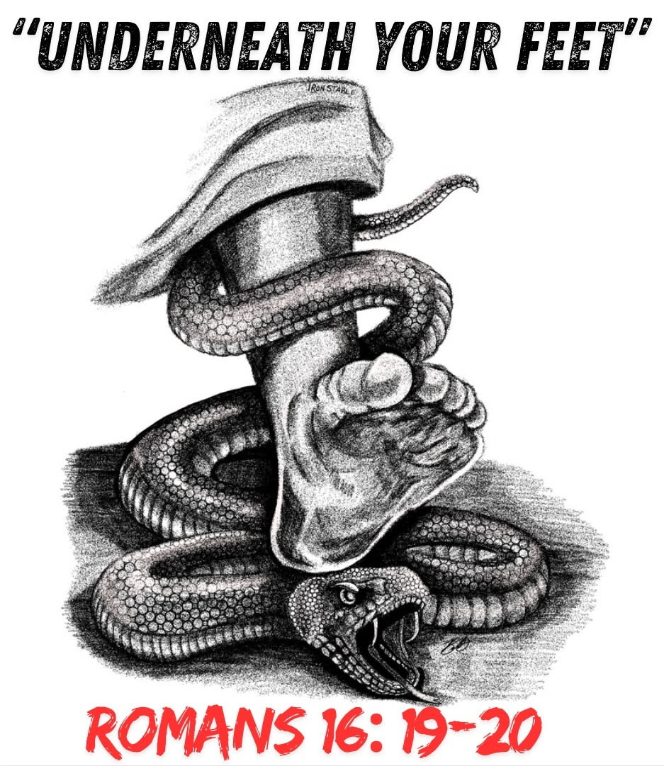 User-uploaded image 1