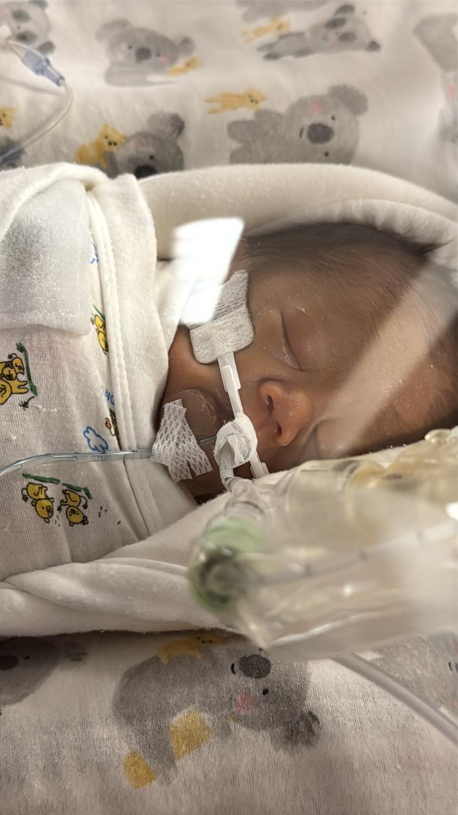 In Loving Memory of Baby Shiloh Joe campaign photo, 5 of 6