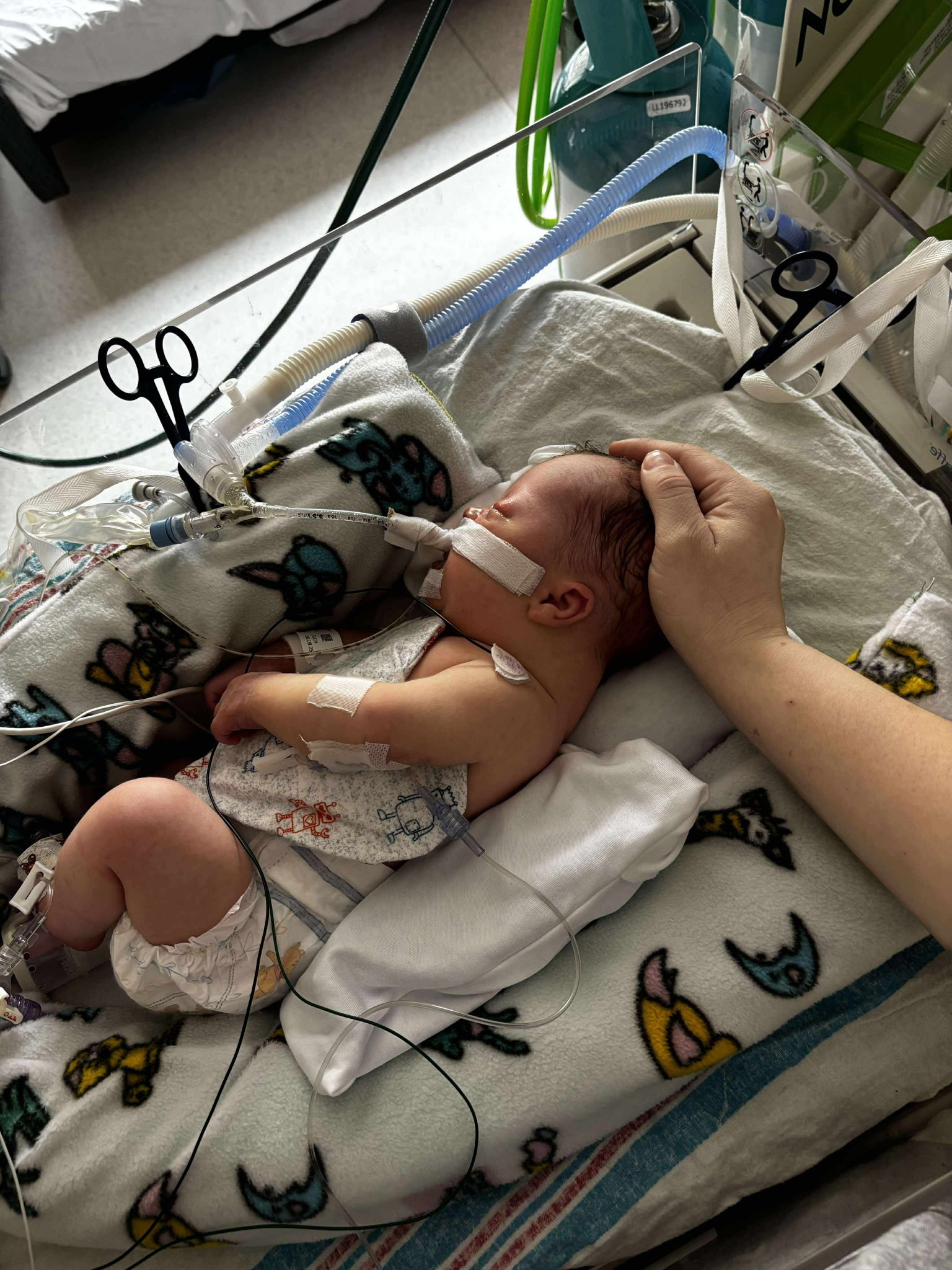 Please help Jordyn & Zach in Theo's fight for good health! campaign photo, 2 of 8