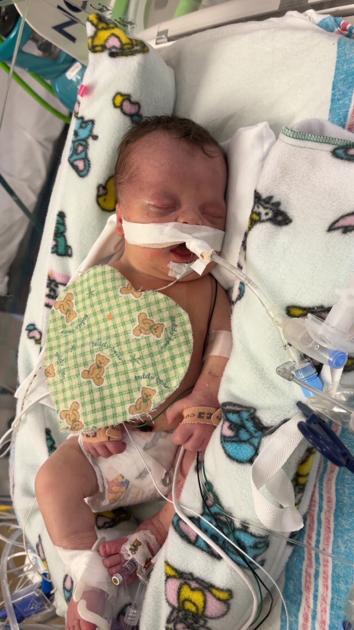 Please help Jordyn & Zach in Theo's fight for good health! campaign photo, 5 of 8