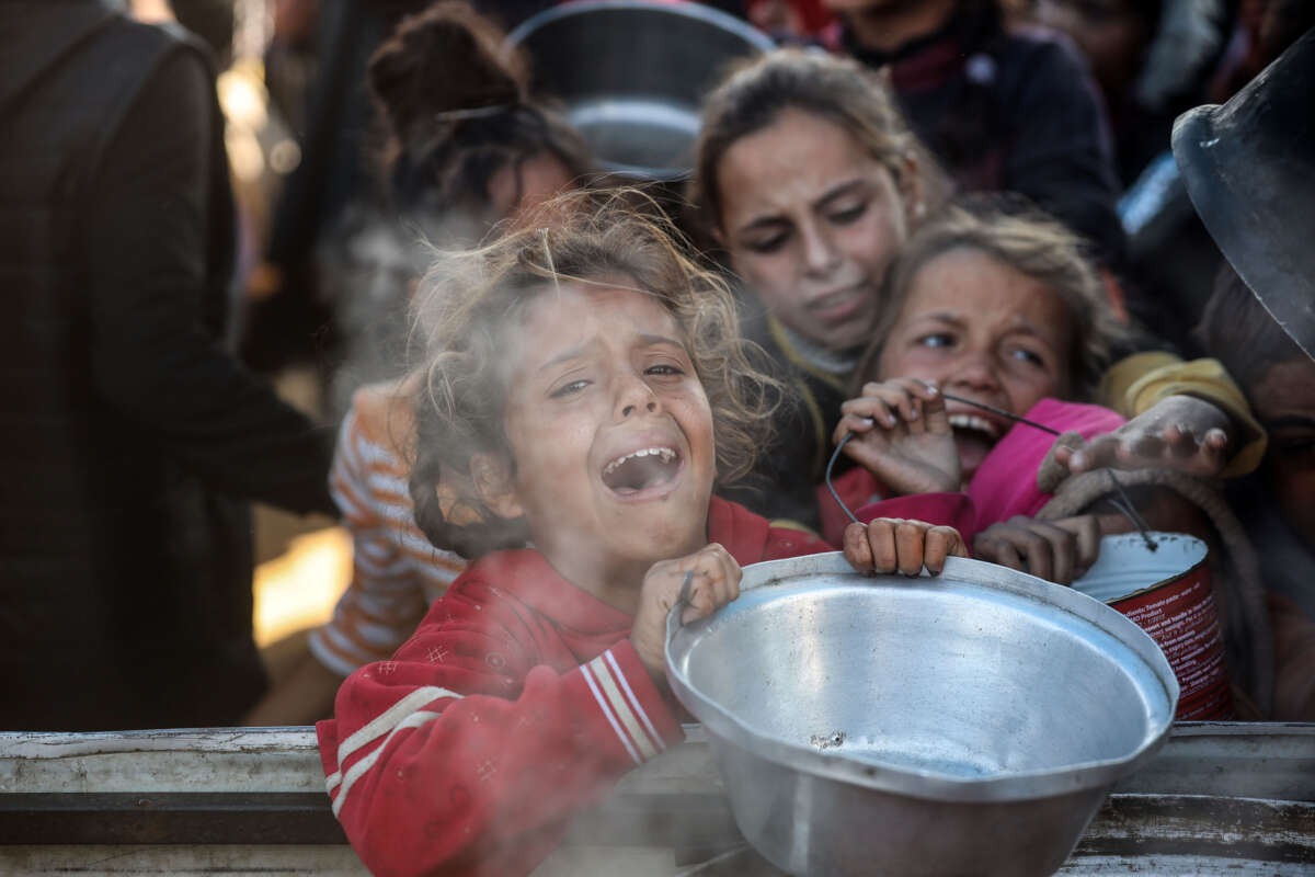 Help Gaza Families Access Essential Food campaign photo, 2 of 4