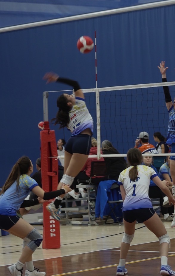Help Me Get Back on the Court - ACL Surgery Fund campaign photo, 4 of 8