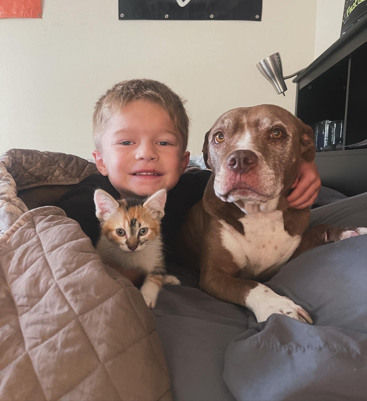 Join Team Jami: Critical Dog Surgery campaign photo, 4 of 6
