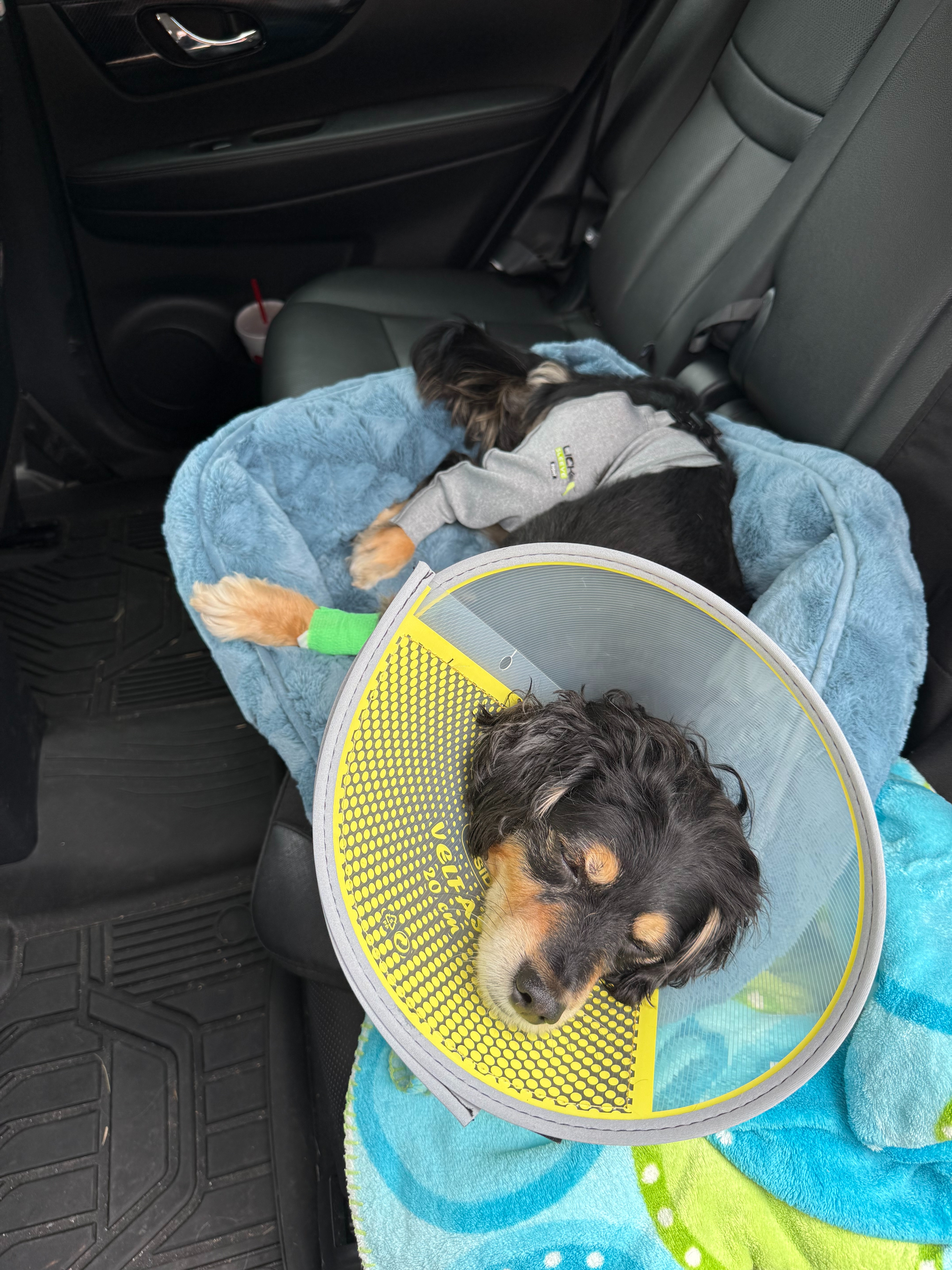 Emergency Surgery for Axel campaign photo, 6 of 8