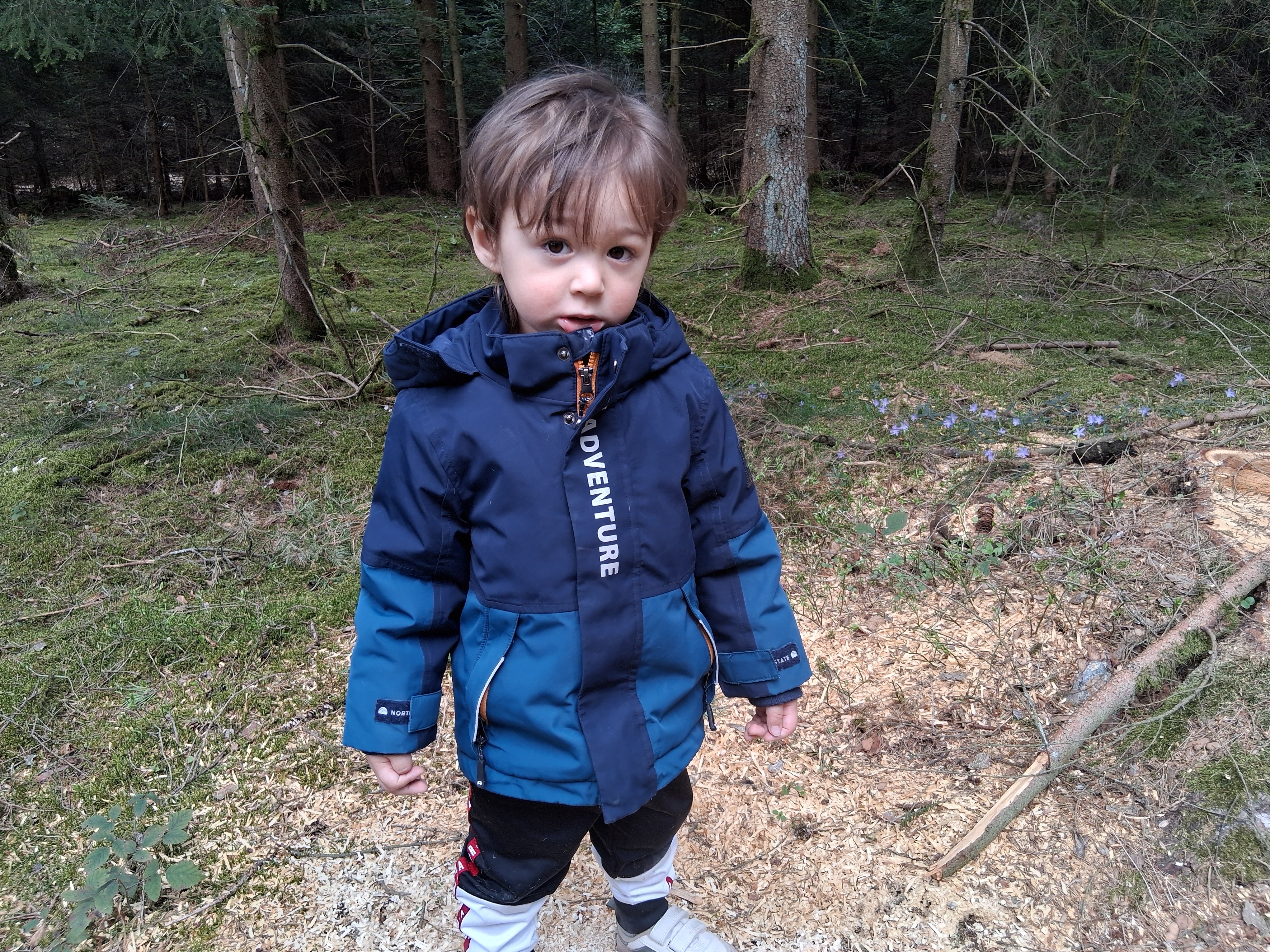 User-uploaded image 1