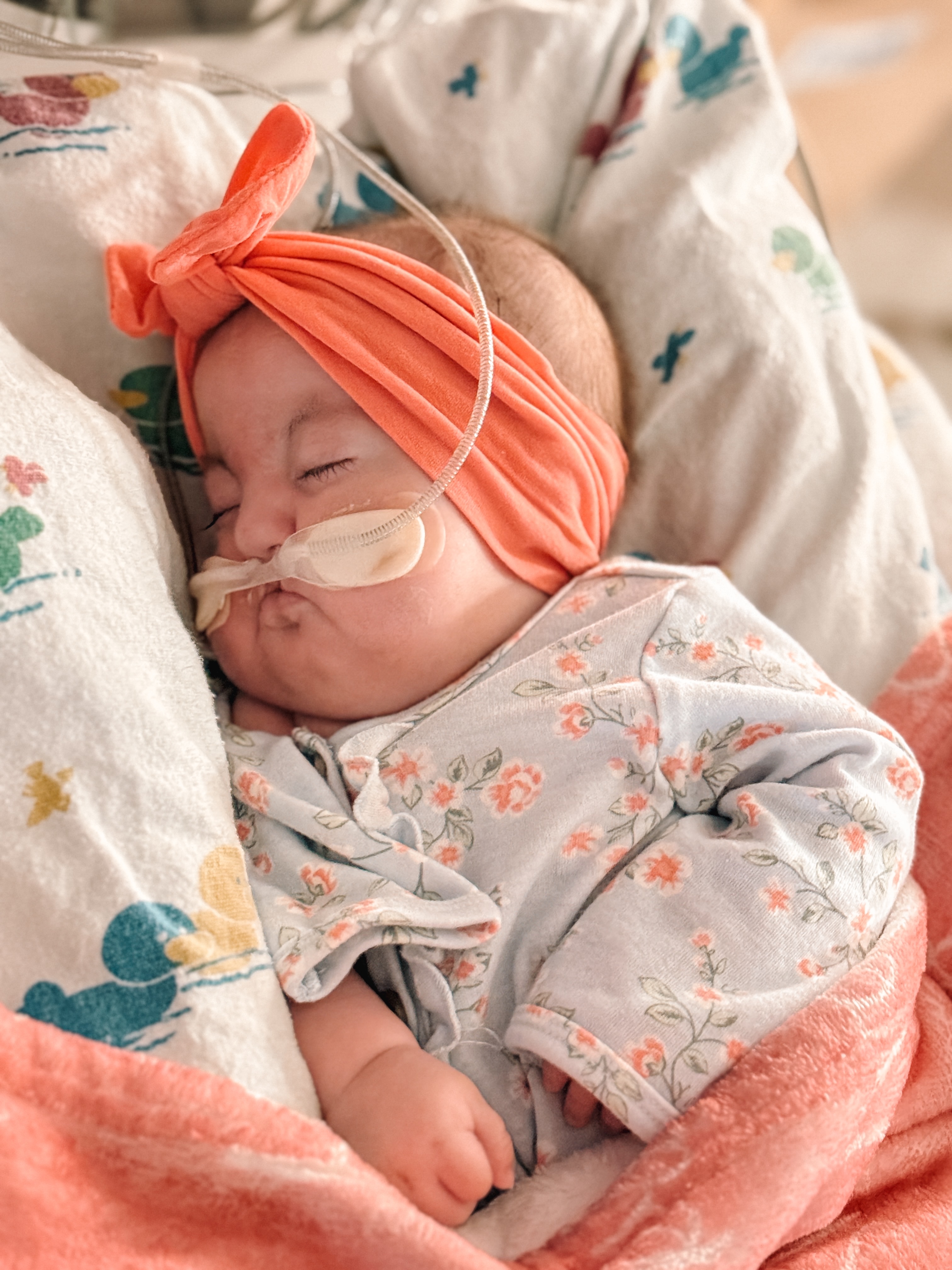 Support for Haven Skye’s Family After Loss campaign photo, 7 of 8