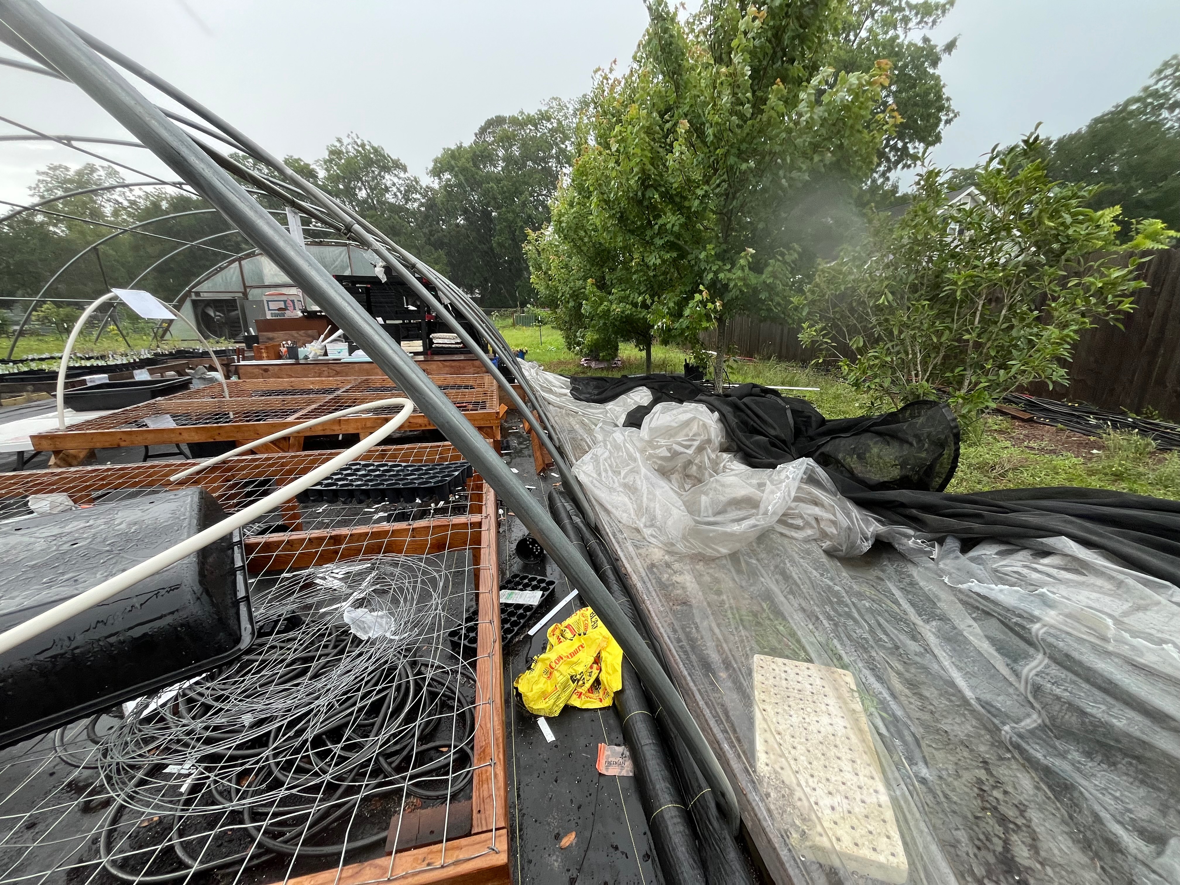 User-uploaded image 1