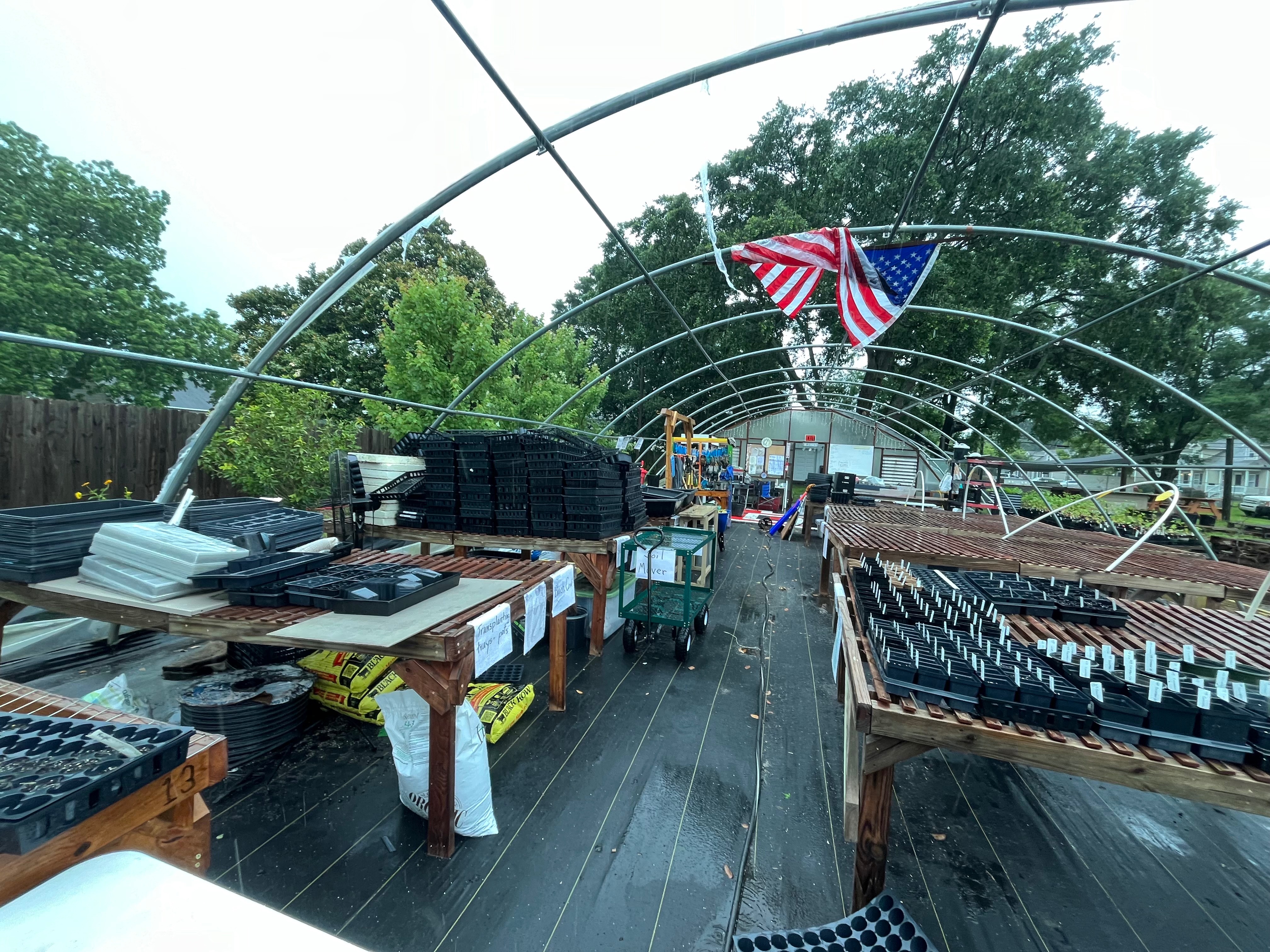 User-uploaded image 2