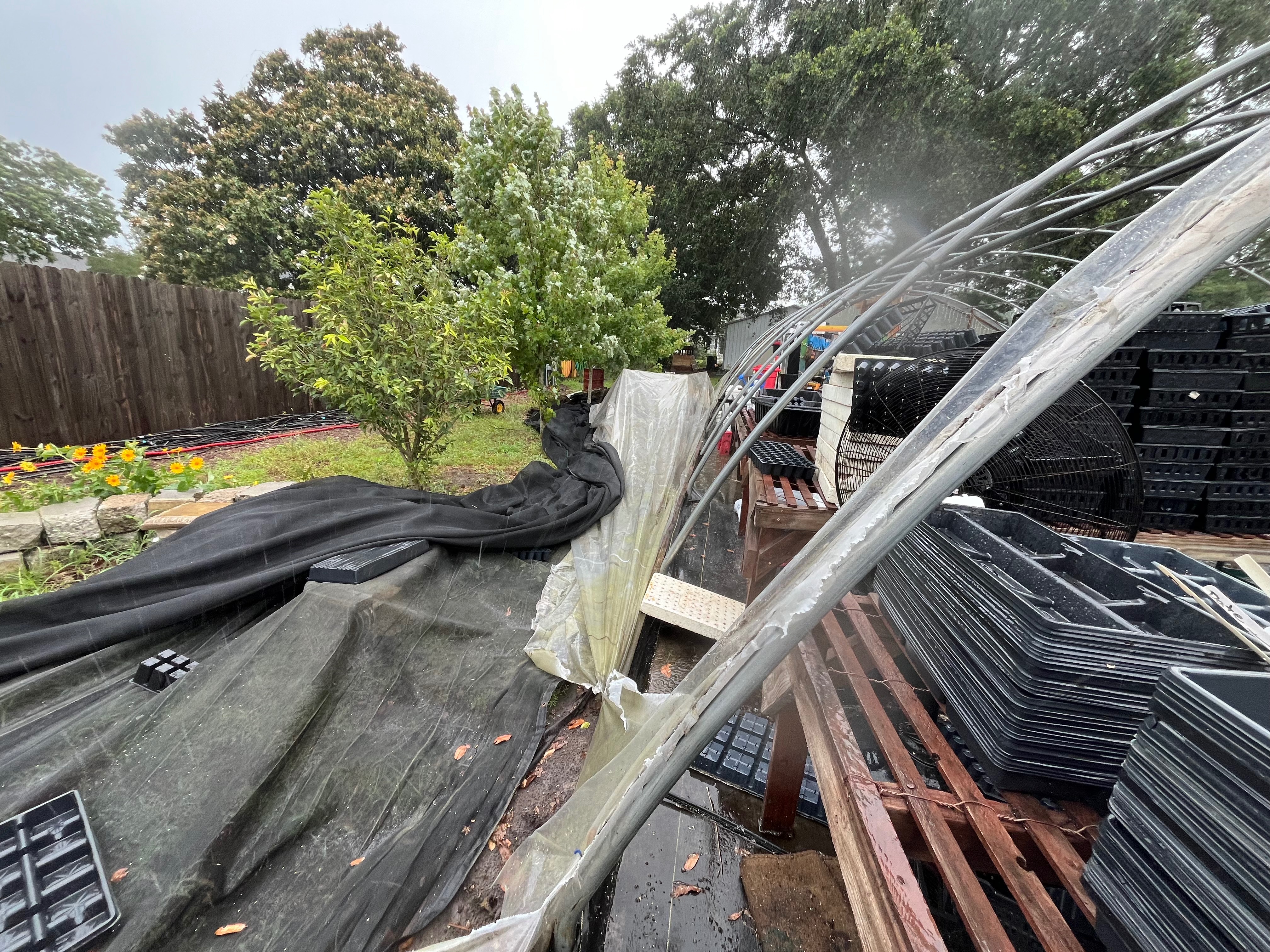 User-uploaded image 4