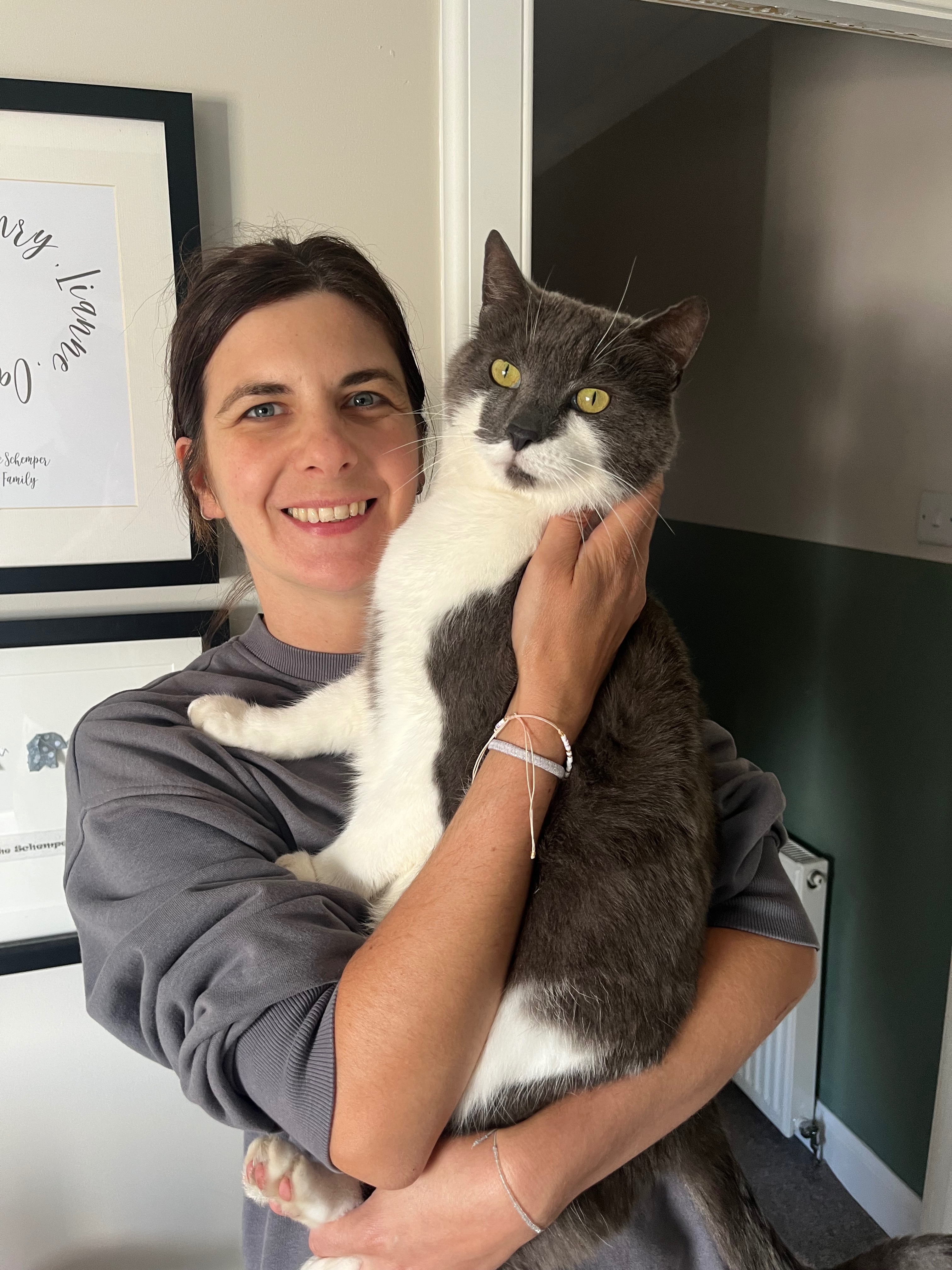 Urgent medical treatment for our Cat campaign photo, 7 of 7