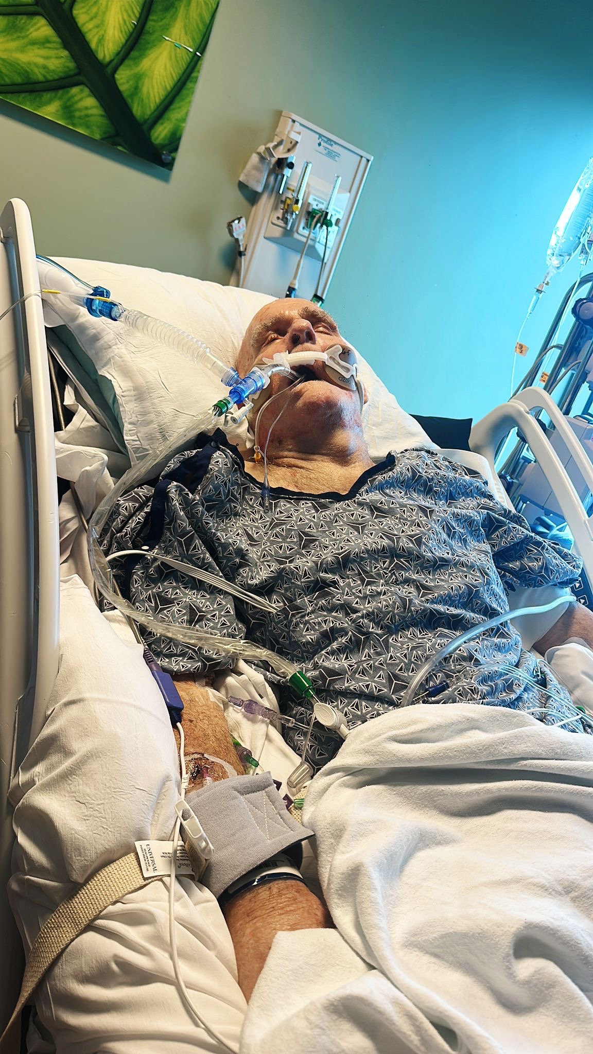 User-uploaded image 1