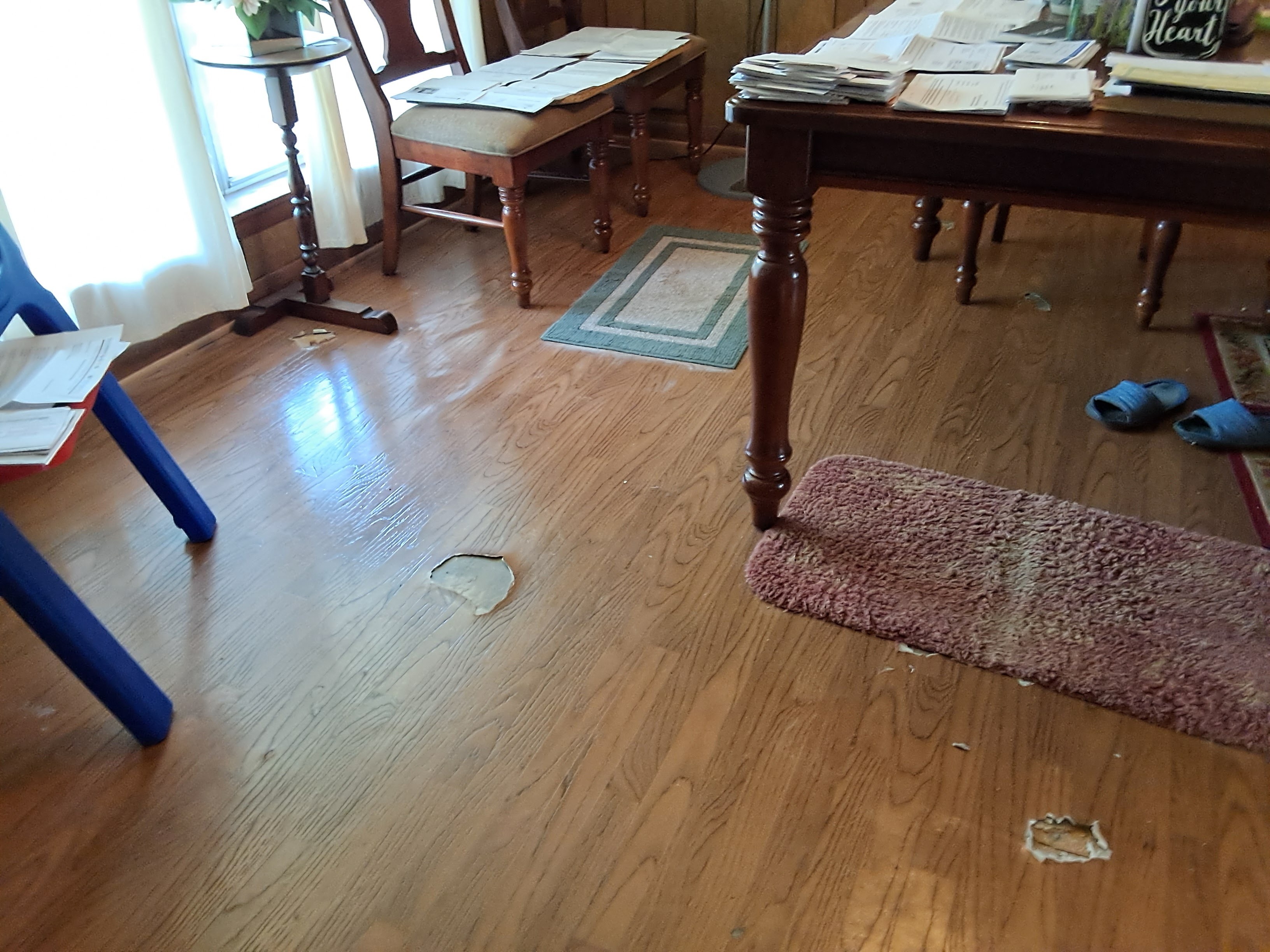 Assistance with Widow's House Repairs campaign photo, 7 of 8