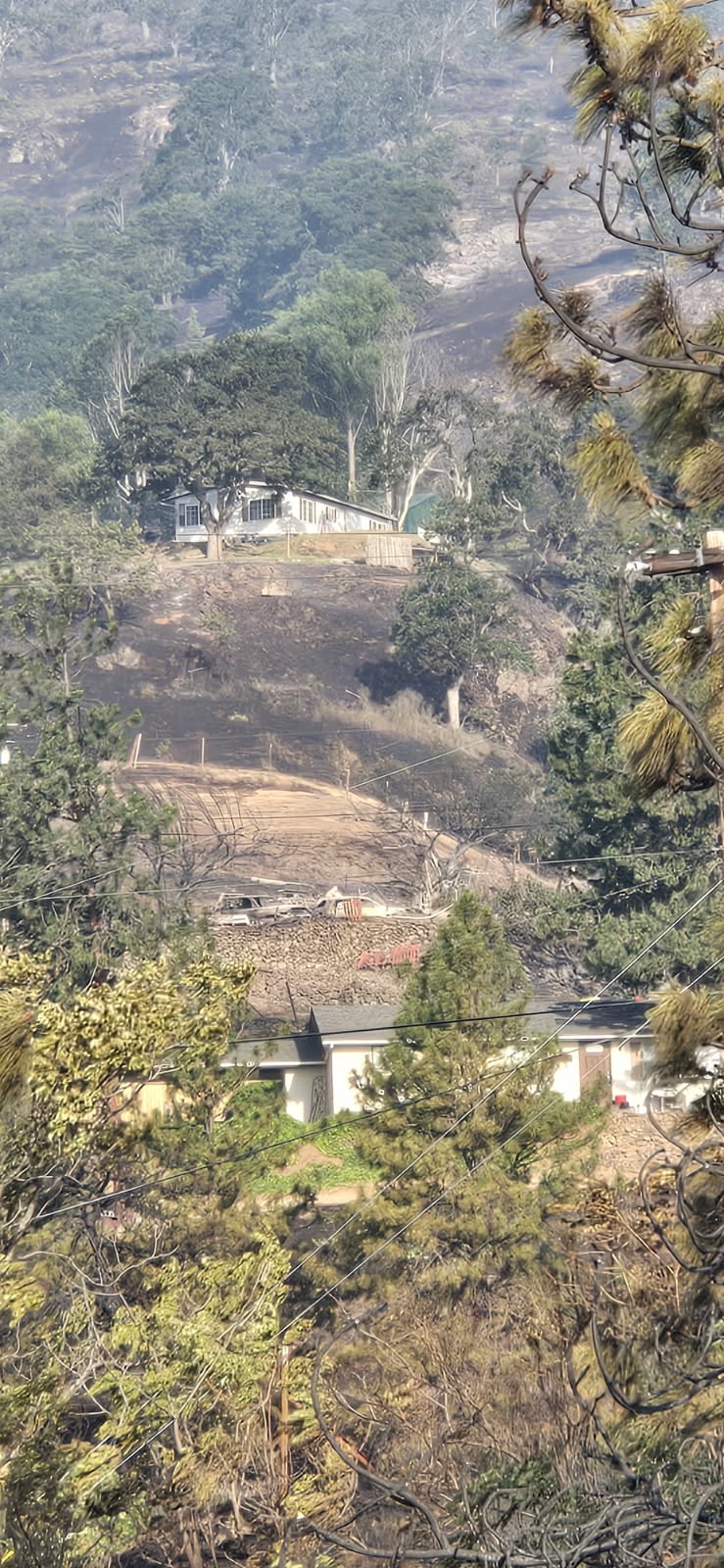 User-uploaded image 1