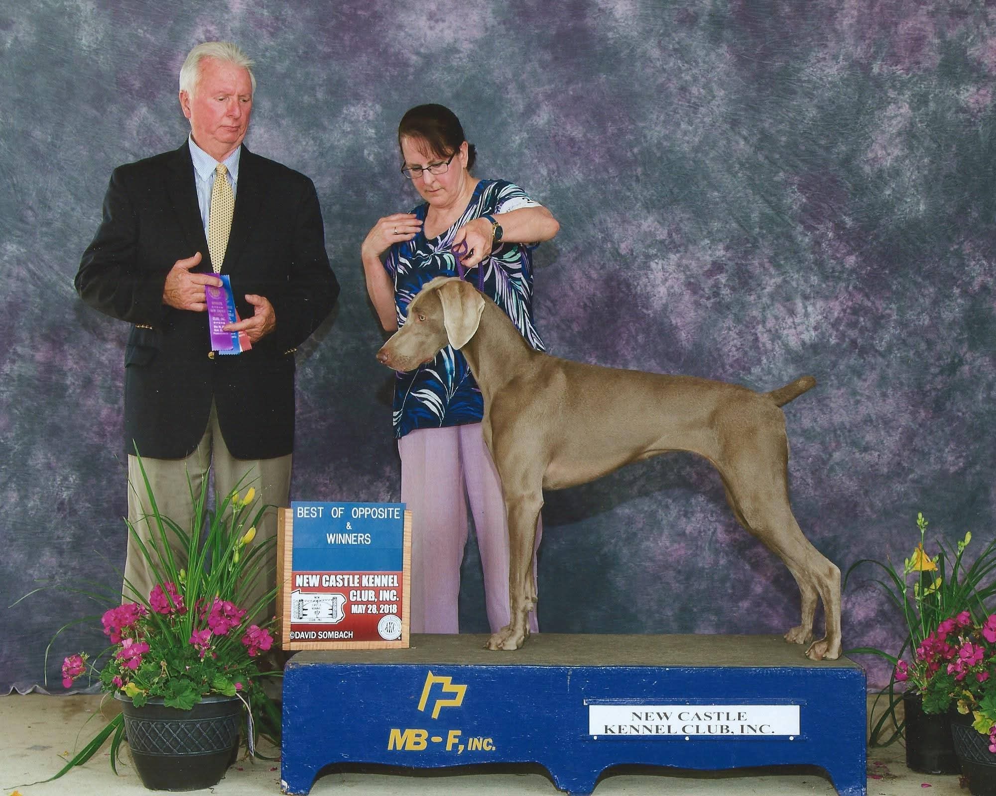 Support Tyne and Starr in Their Time of Need campaign photo, 7 of 7