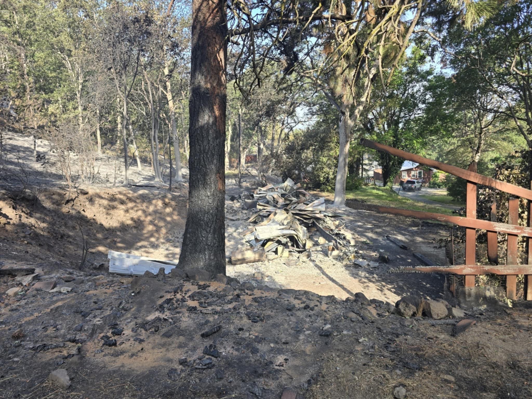 User-uploaded image 1