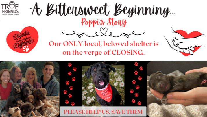 Fundraiser By True Friends Awc A Bittersweet Beginning Poppi S Story