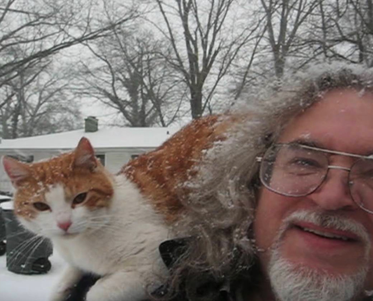 Keep Al's Legacy Cats Healthy and Happy campaign photo, 2 of 4