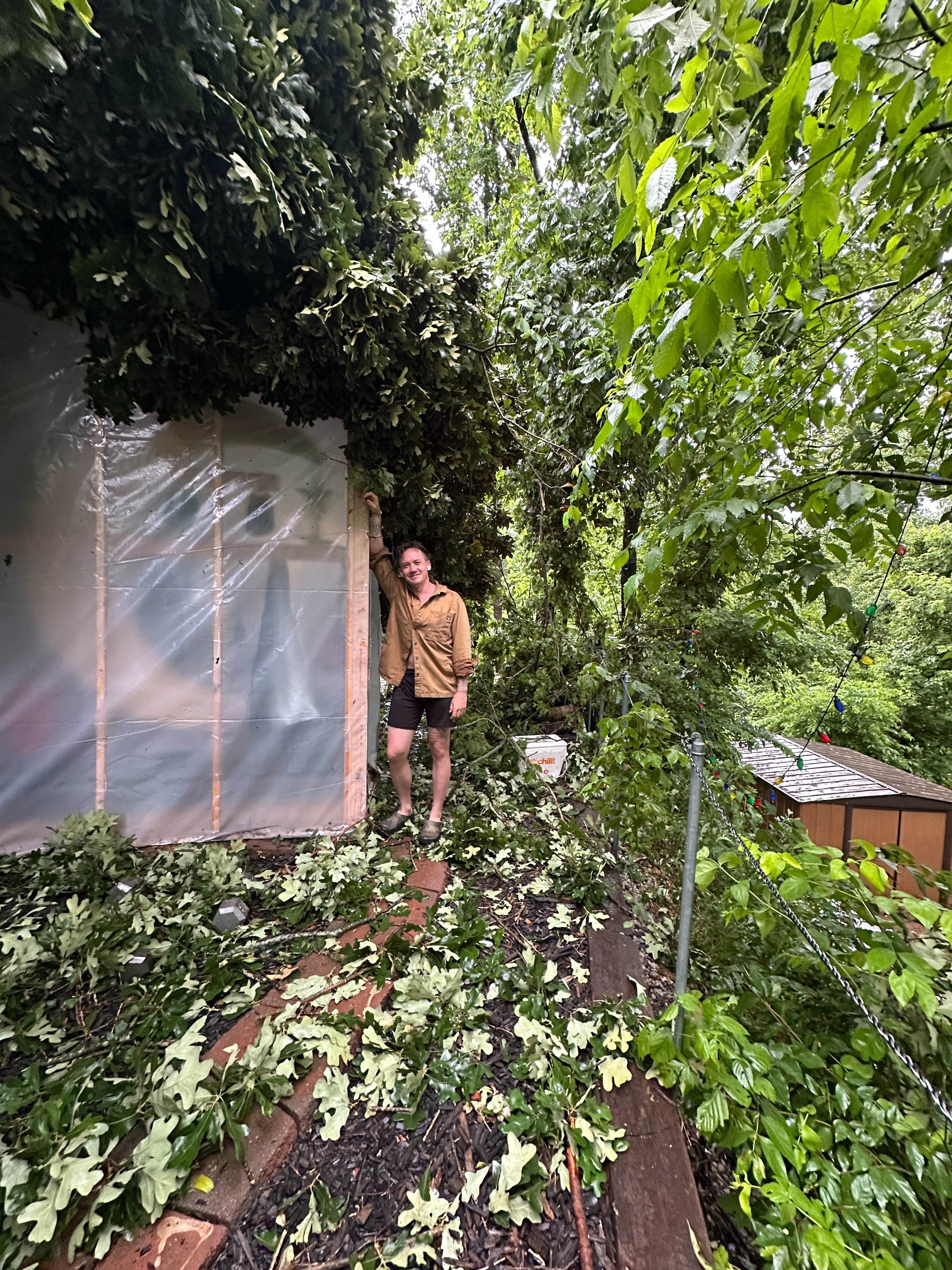 Help Rebuild My Tiny Home After Devastating Tree Collapse campaign photo, 2 of 8