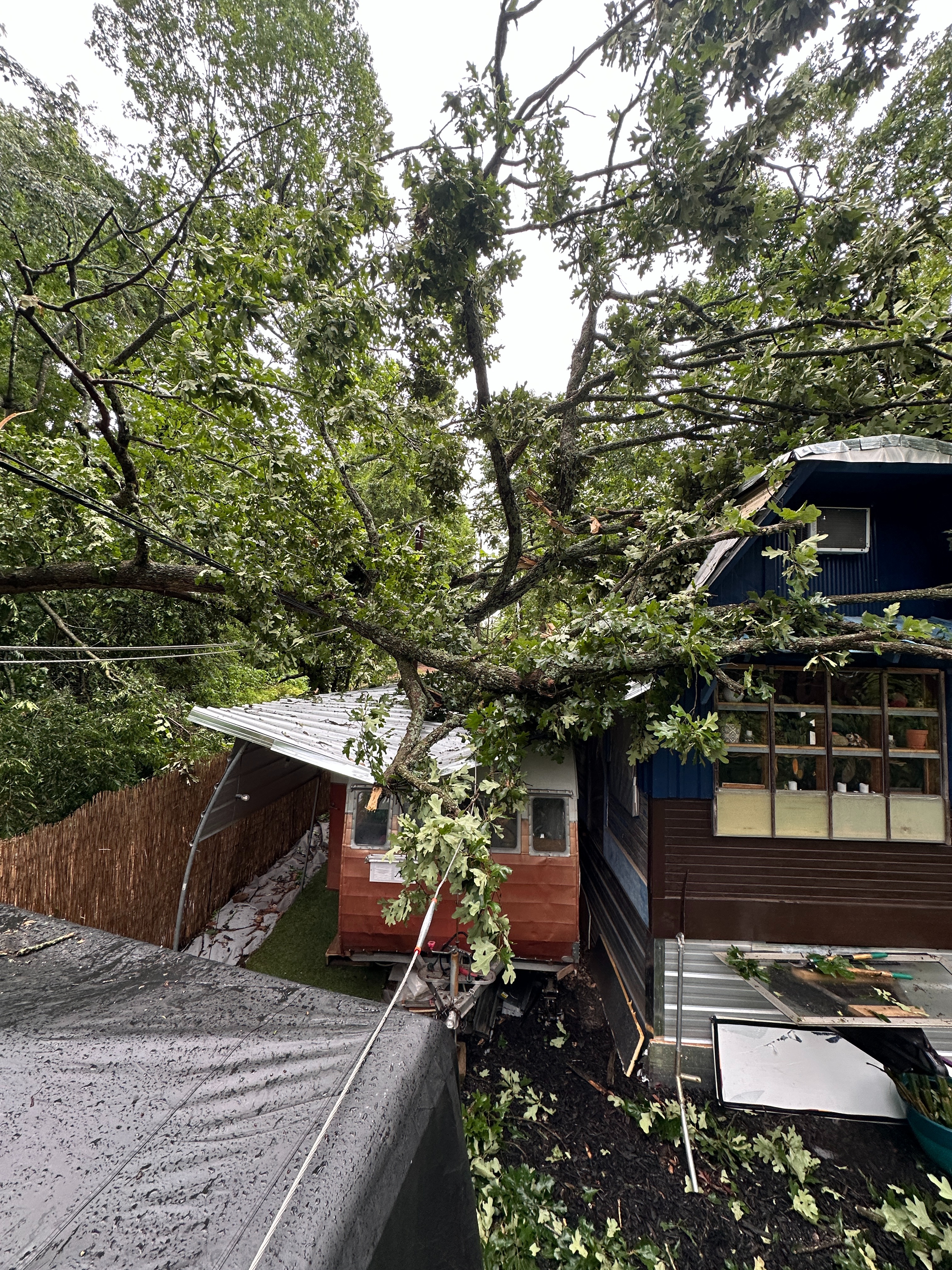 Help Rebuild My Tiny Home After Devastating Tree Collapse campaign photo, 5 of 8