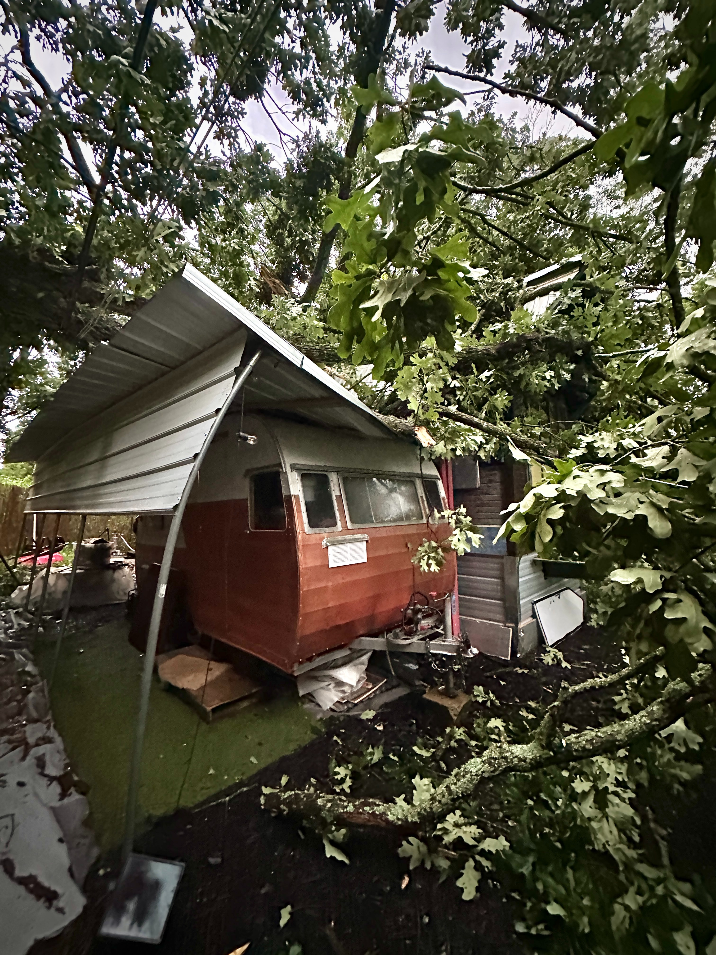 Help Rebuild My Tiny Home After Devastating Tree Collapse campaign photo, 6 of 8