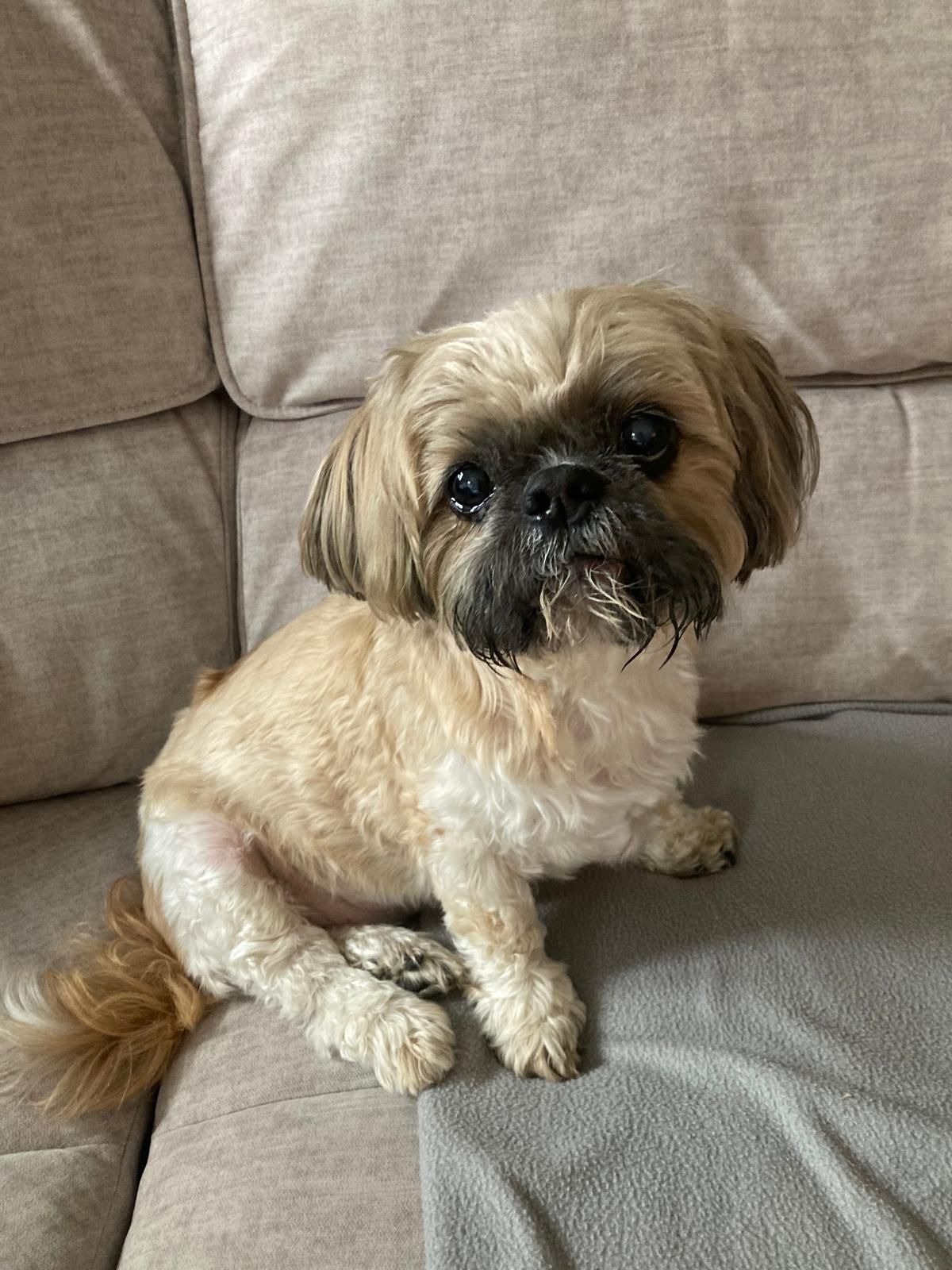 User-uploaded image 1