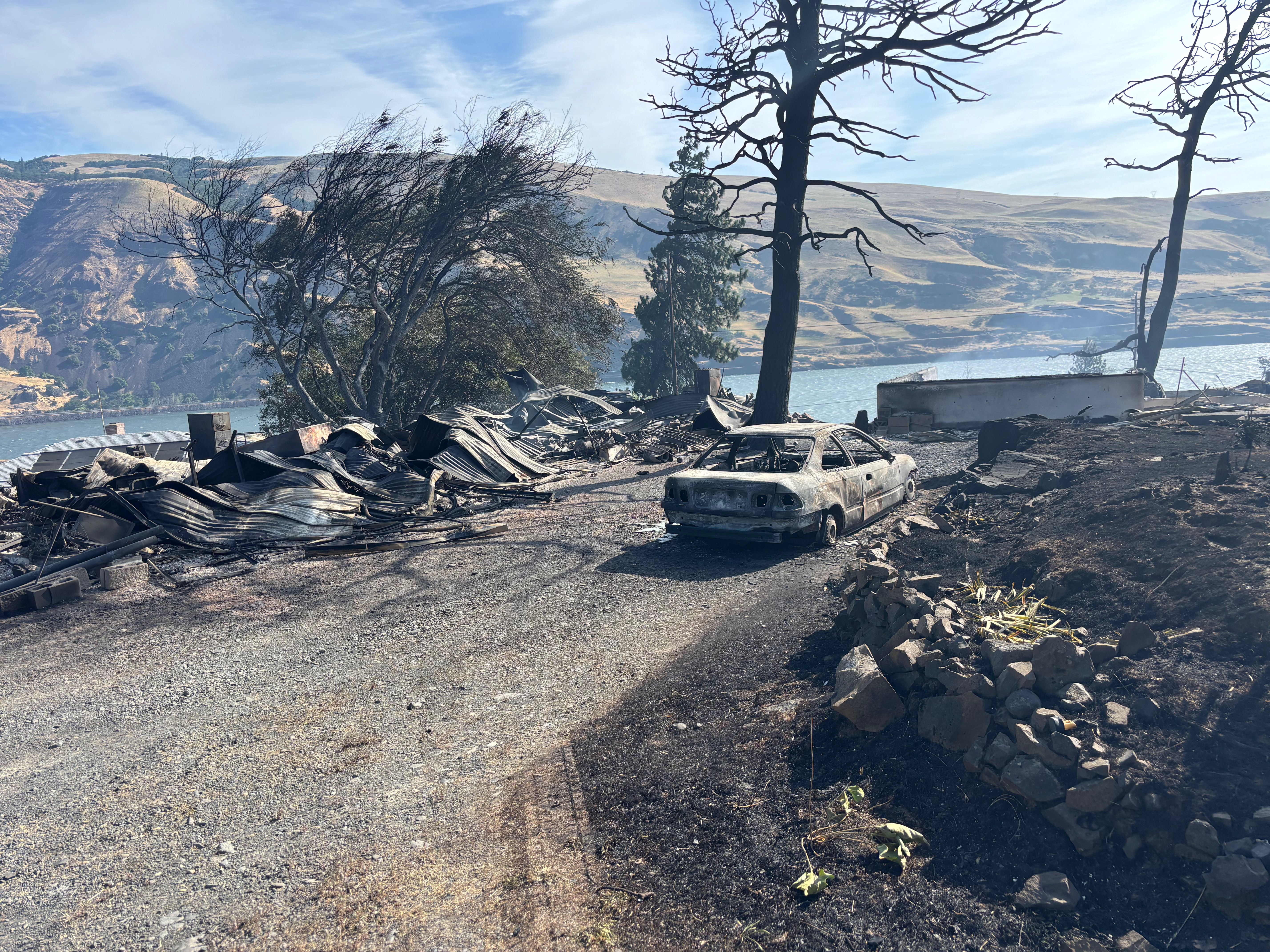 User-uploaded image 1