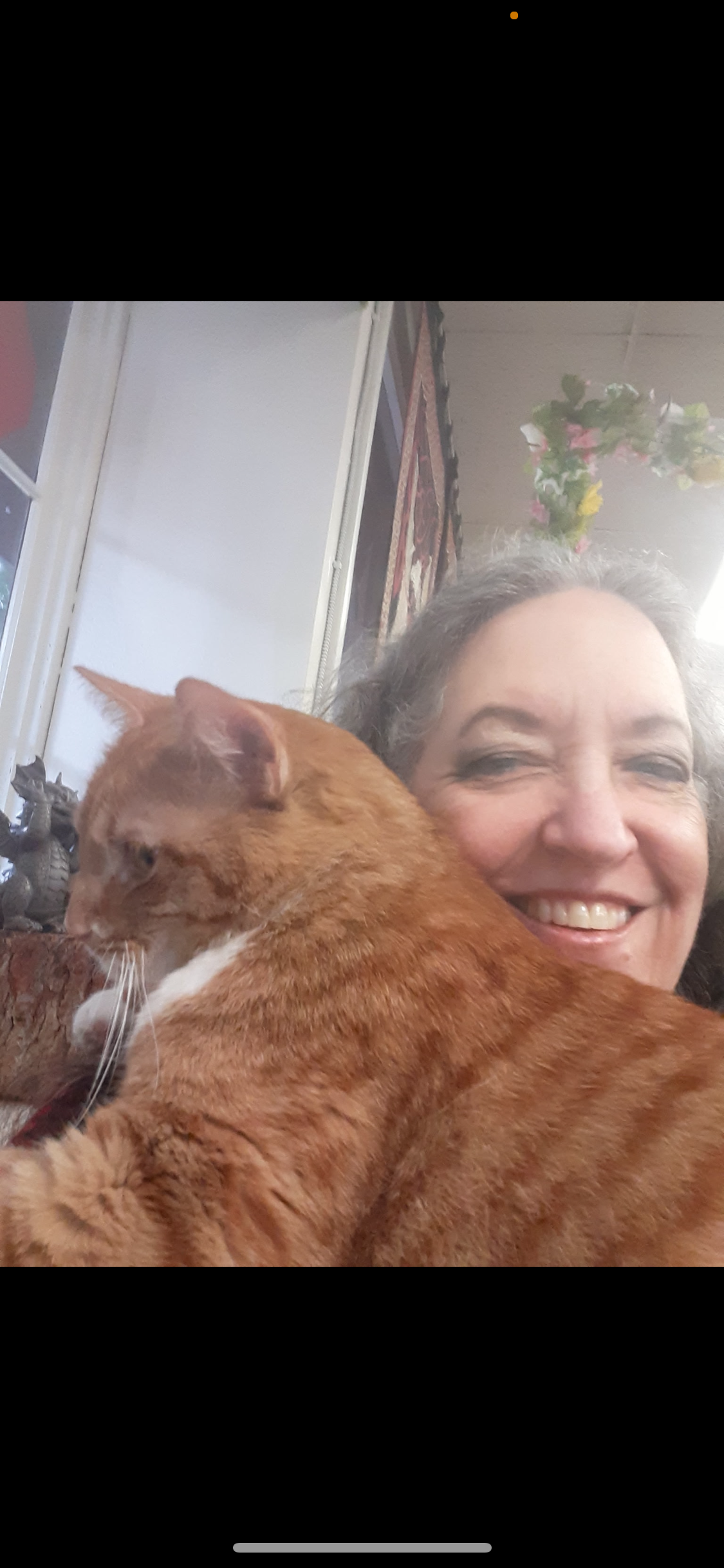Help Save Lionel: Emergency Vet Care Needed campaign photo, 4 of 7