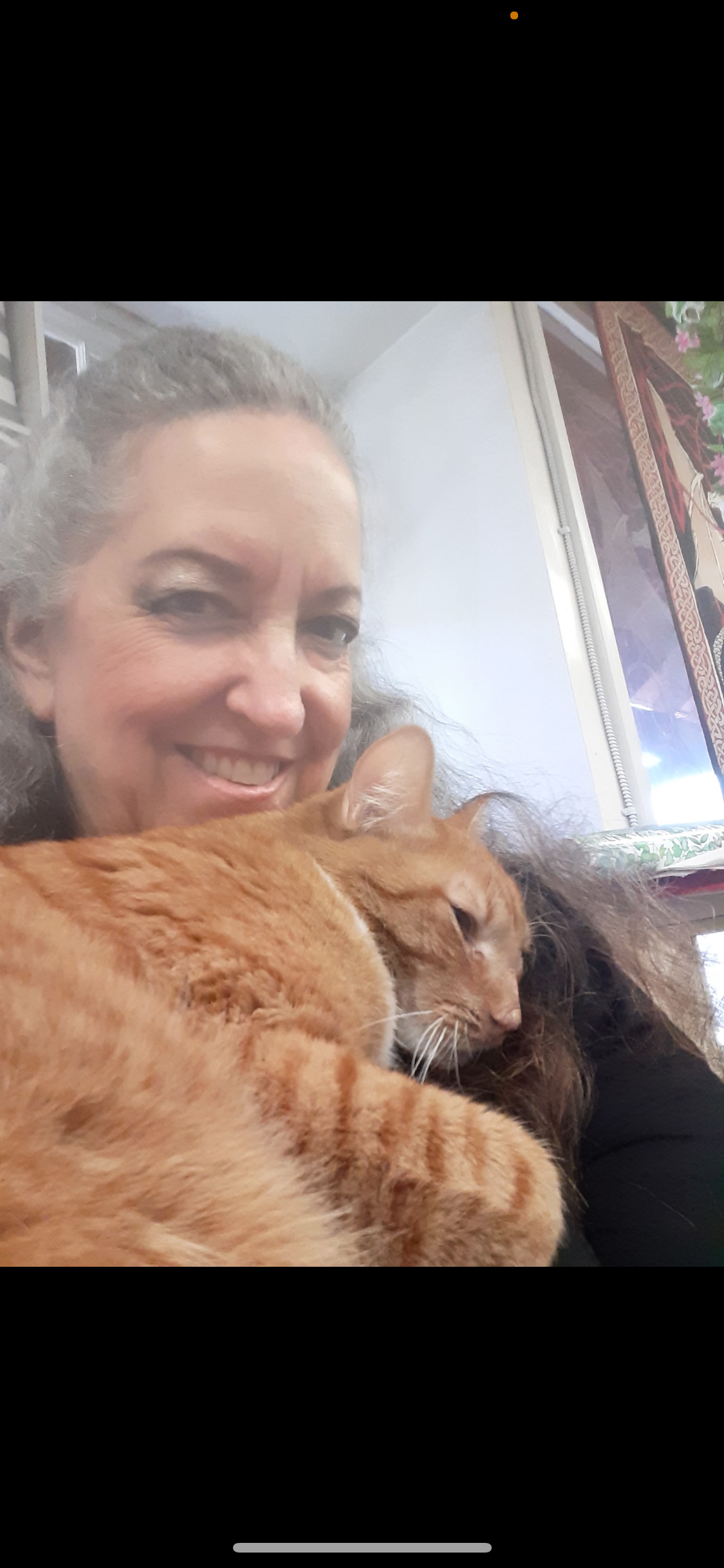 Help Save Lionel: Emergency Vet Care Needed campaign photo, 5 of 7