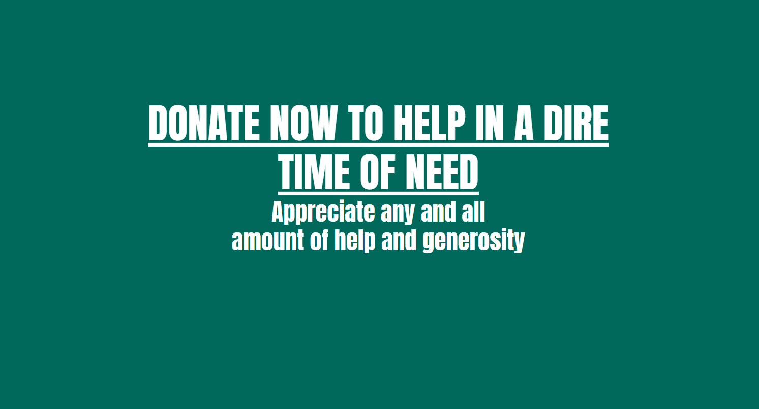 User-uploaded image 1