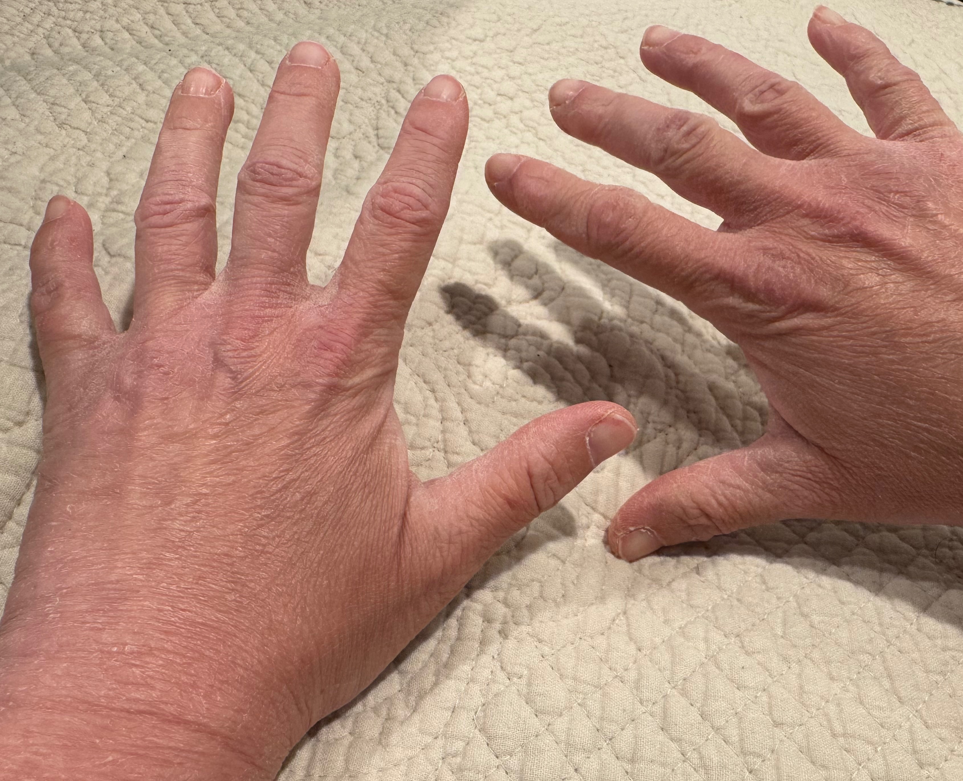 User-uploaded image 1