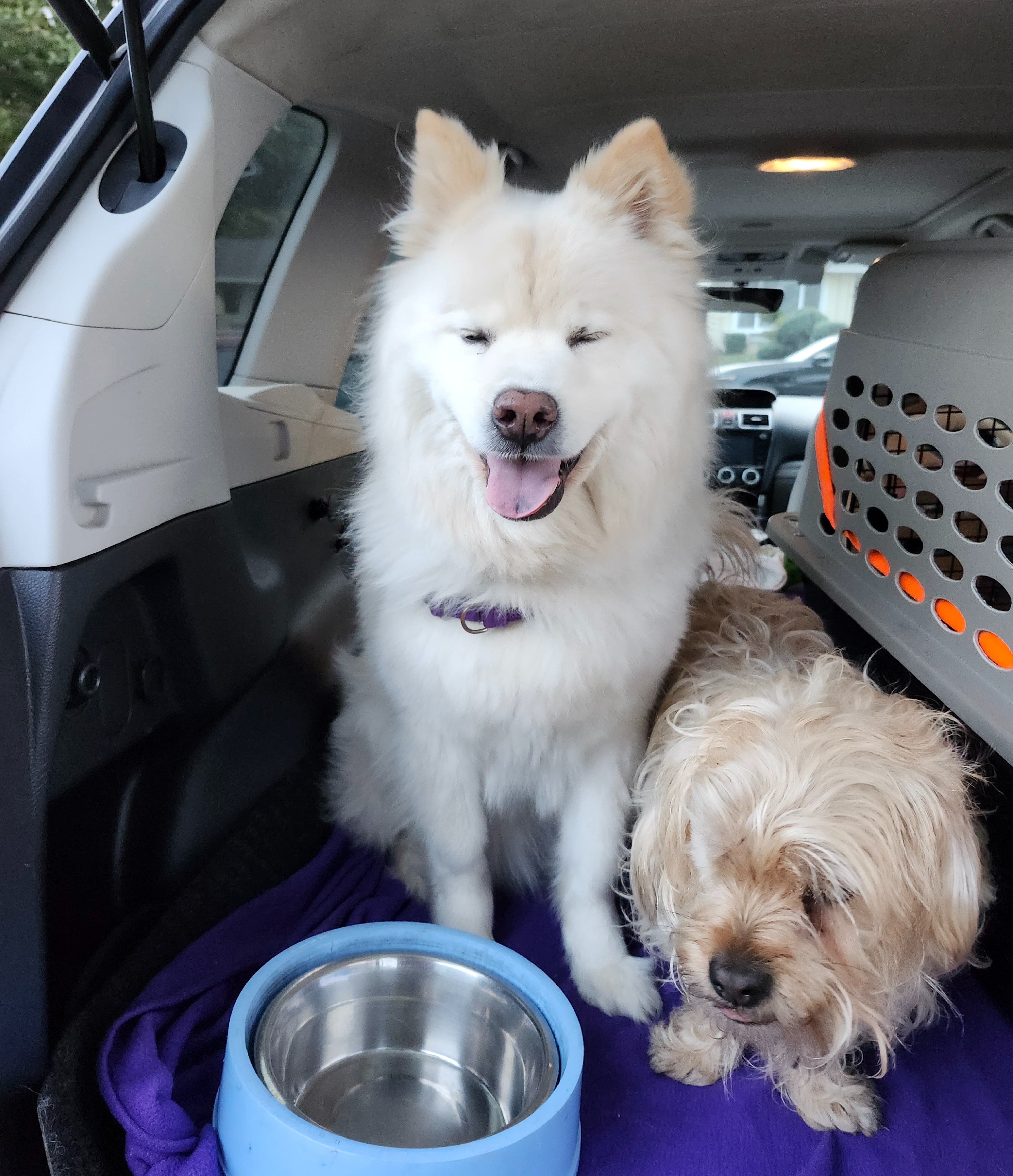 User-uploaded image 1