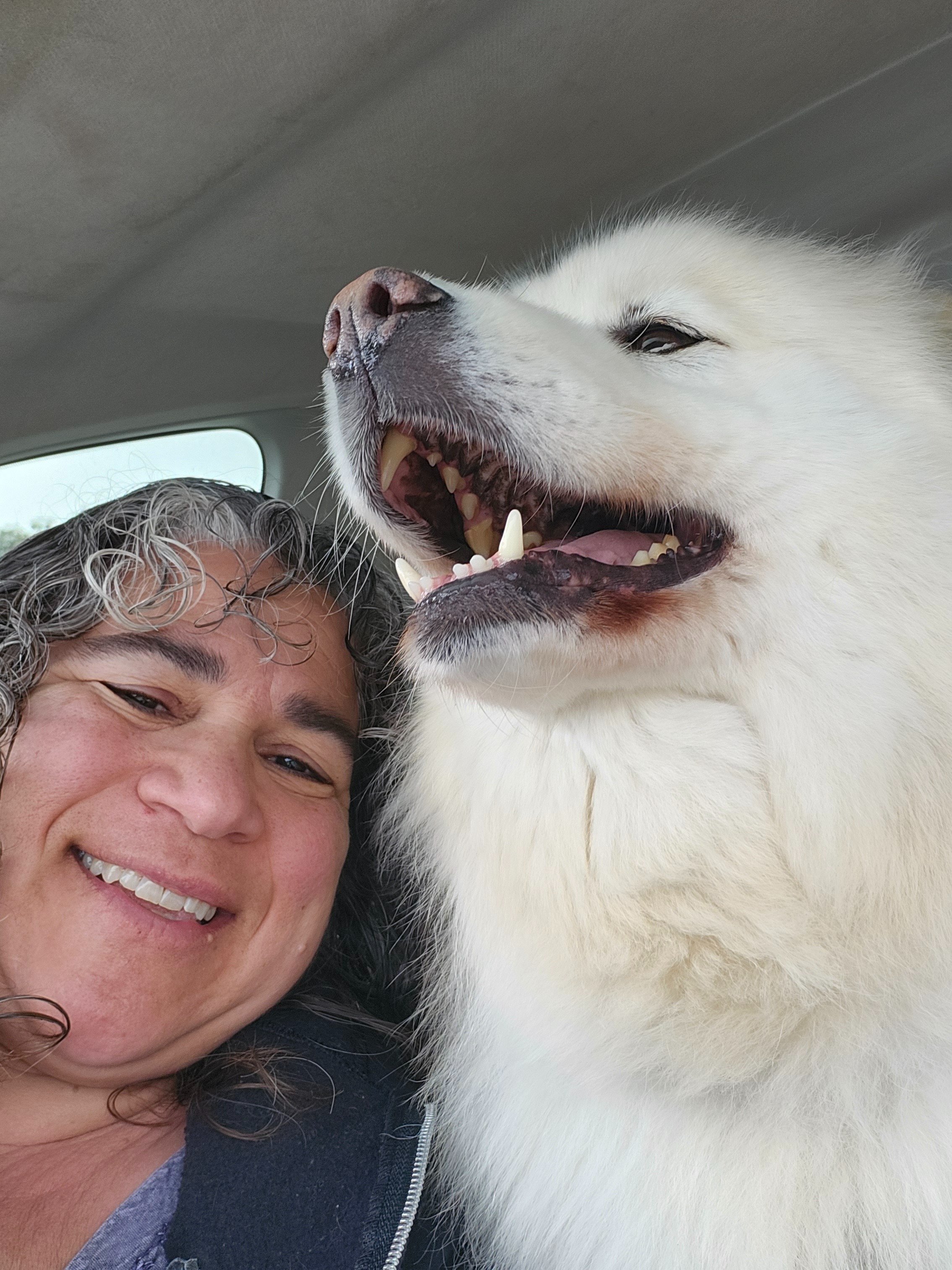 User-uploaded image 2