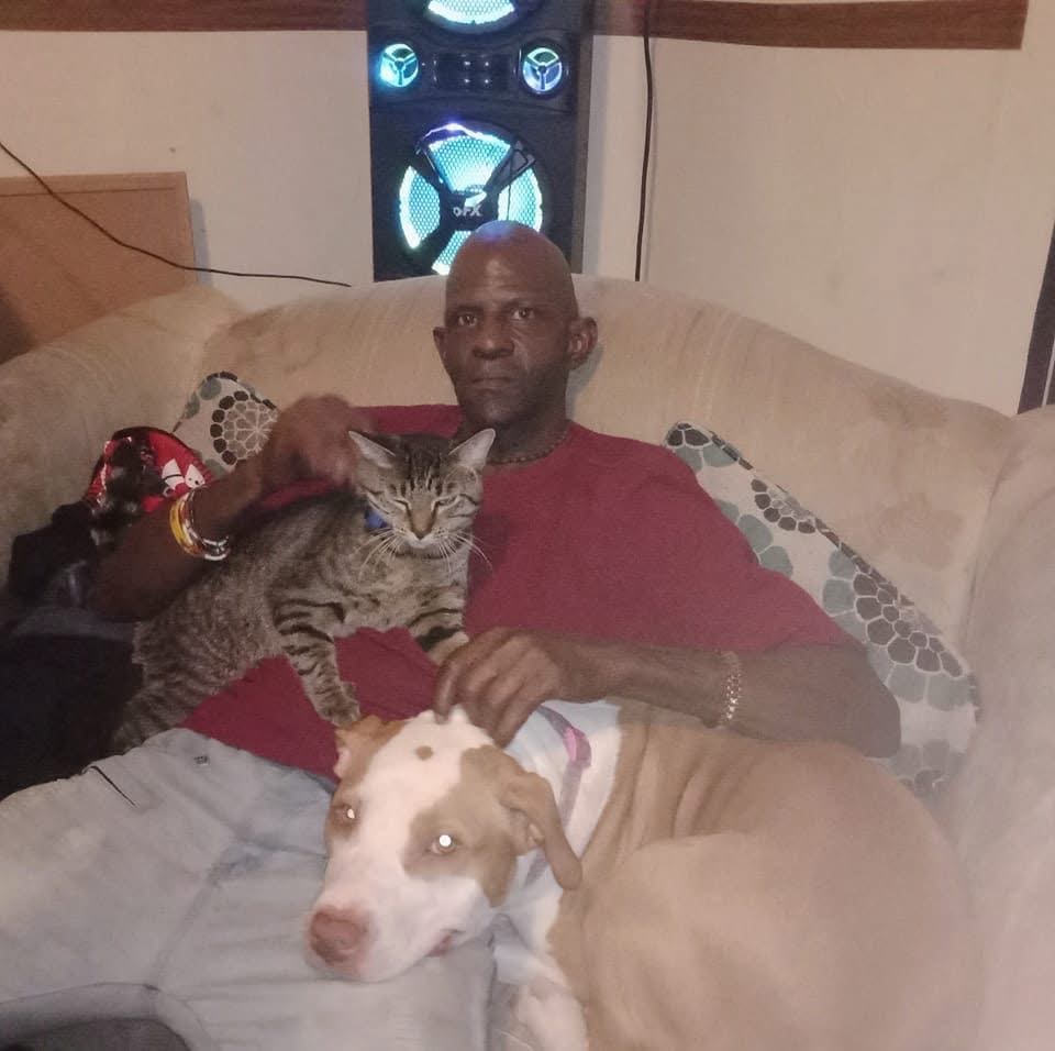 User-uploaded image 1