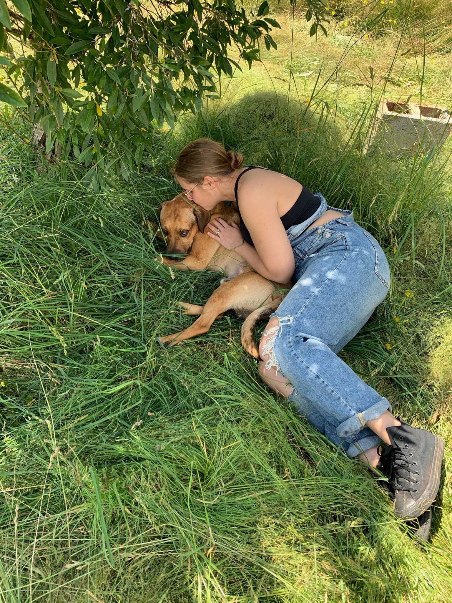 Support Paige and Michael's Pet Cancer Battle campaign photo, 5 of 8